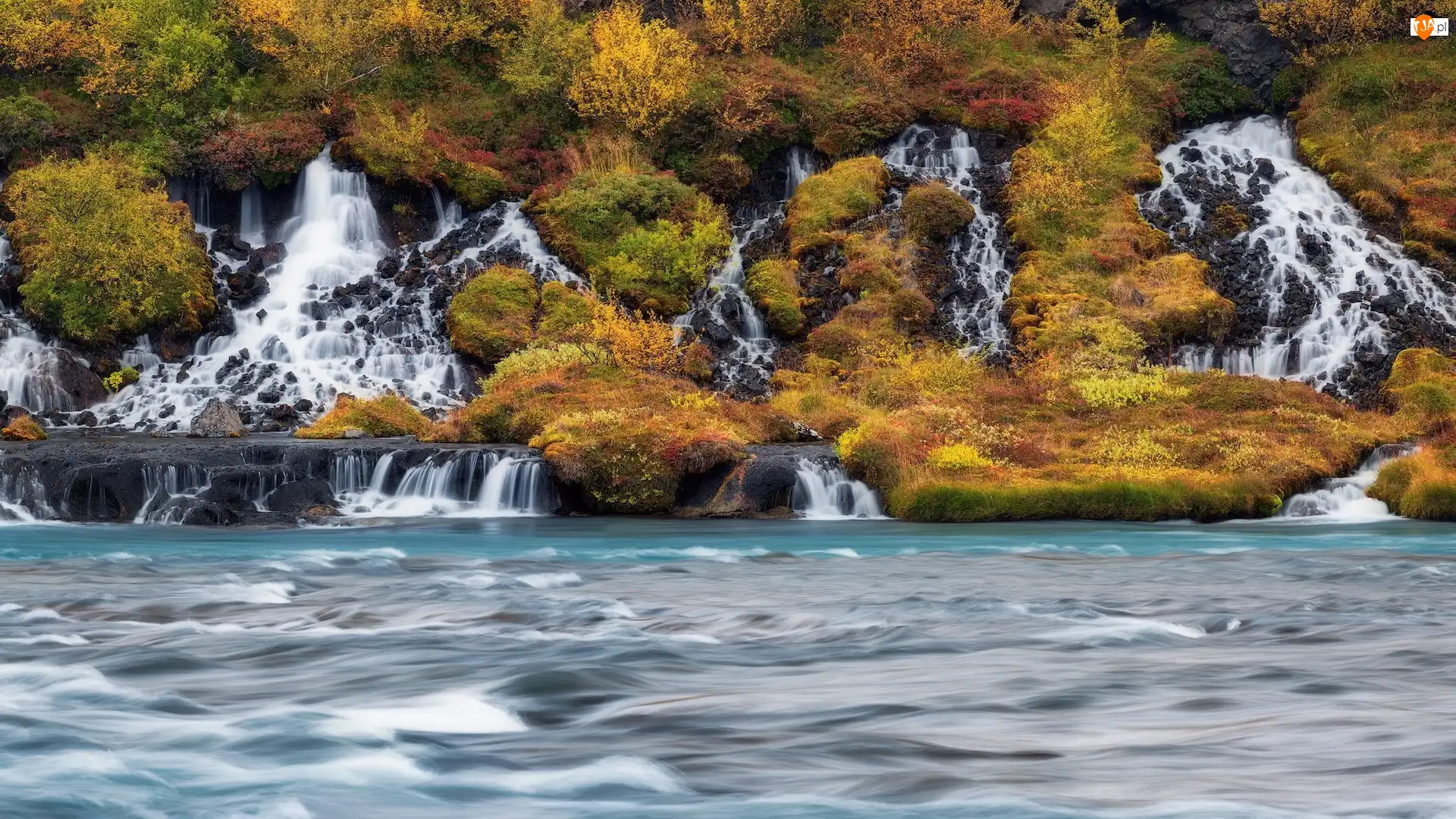 Hraunfossar, Roślinność, Wodospad, Islandia, Jesień
