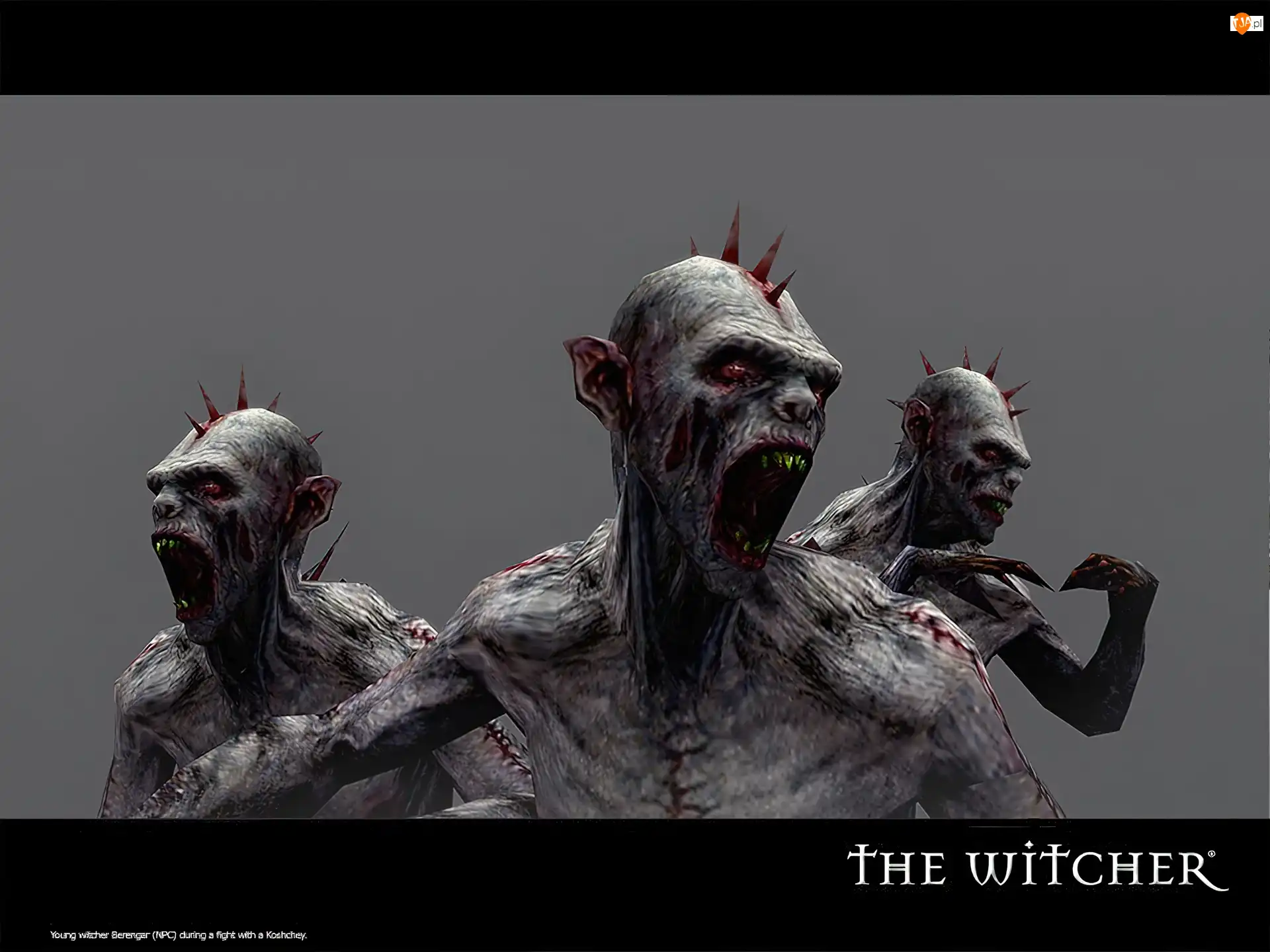 The Witcher, potwór, kolce, kły