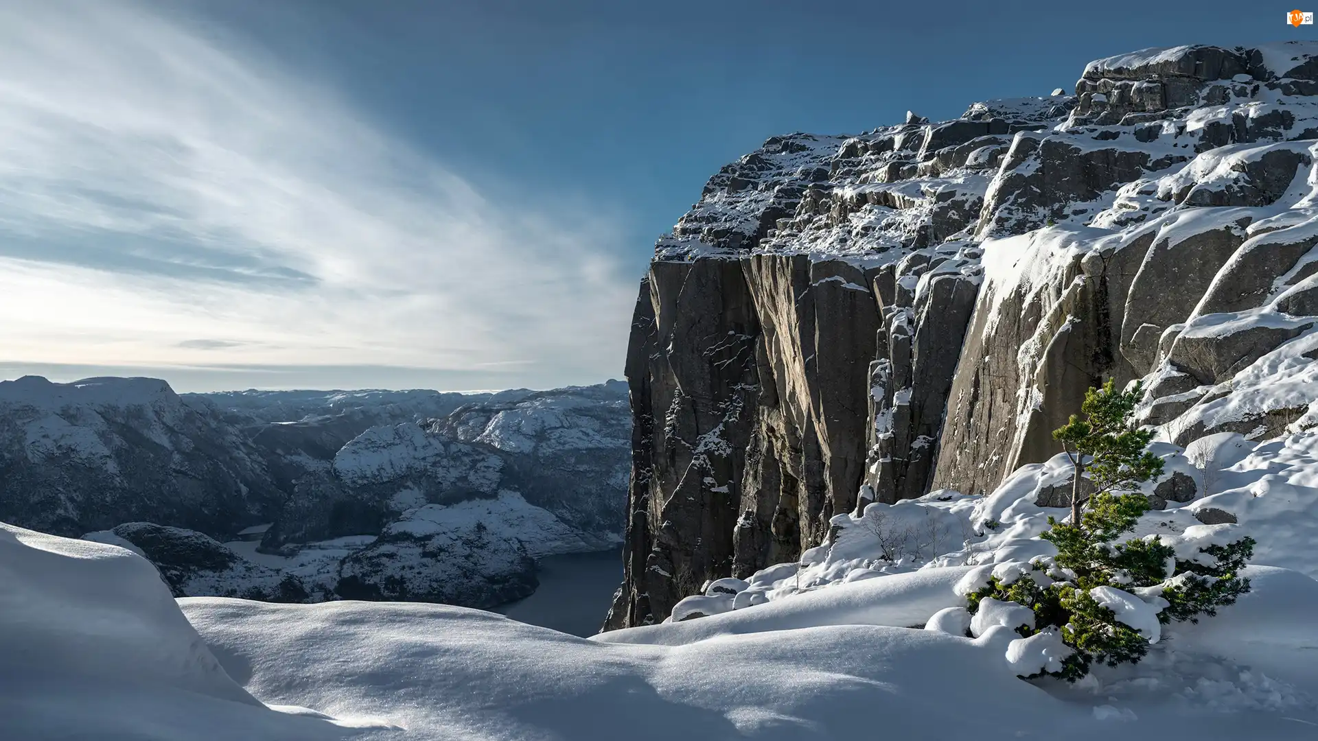 Góry Skandynawskie, Klif Preikestolen, Drzewo, Norwegia, Zima, Rogaland
