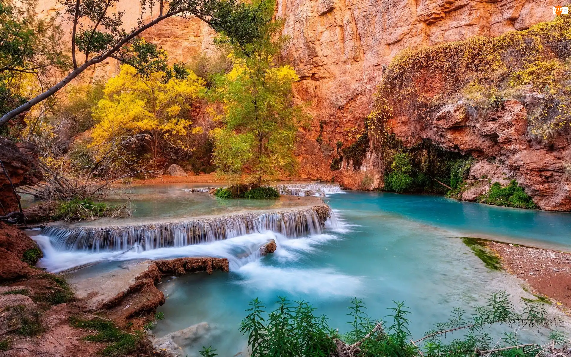 Park Narodowy Grand Canyon, Havasupai Indian Reservation, Drzewa, Stany Zjednoczone, Rzeka, Kaskada, Skały