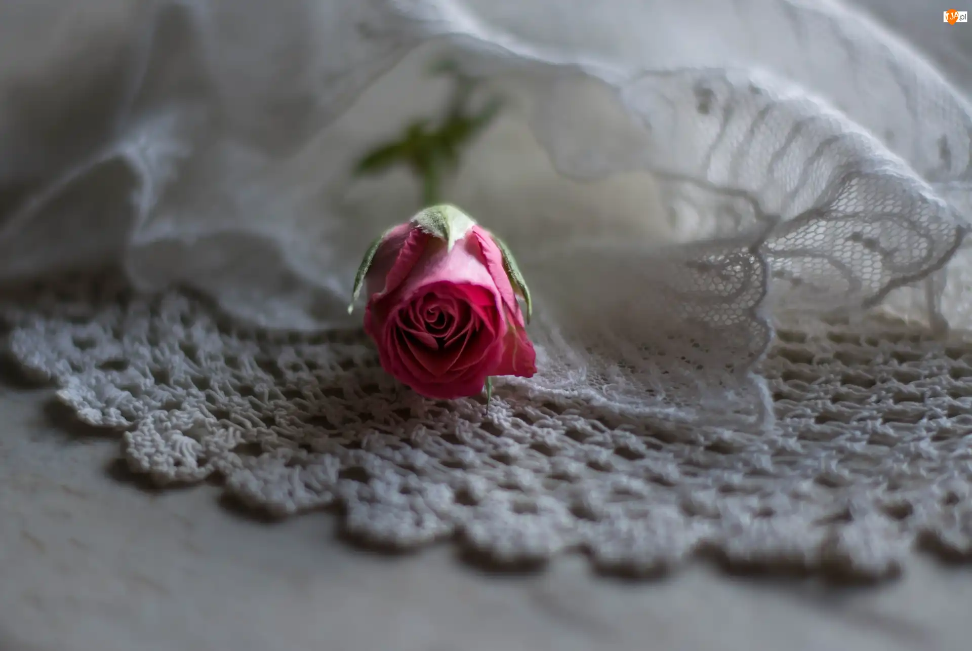 Handmade, Pączek, Serwetka, Szydełkowa, Róża