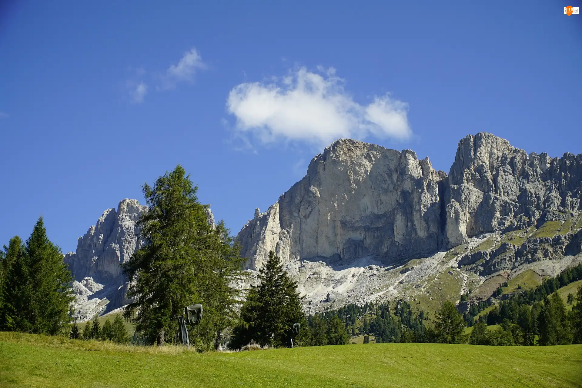Roda di Vael, Góry, Włochy, Szczyt, Łąka, Drzewa, Dolomity