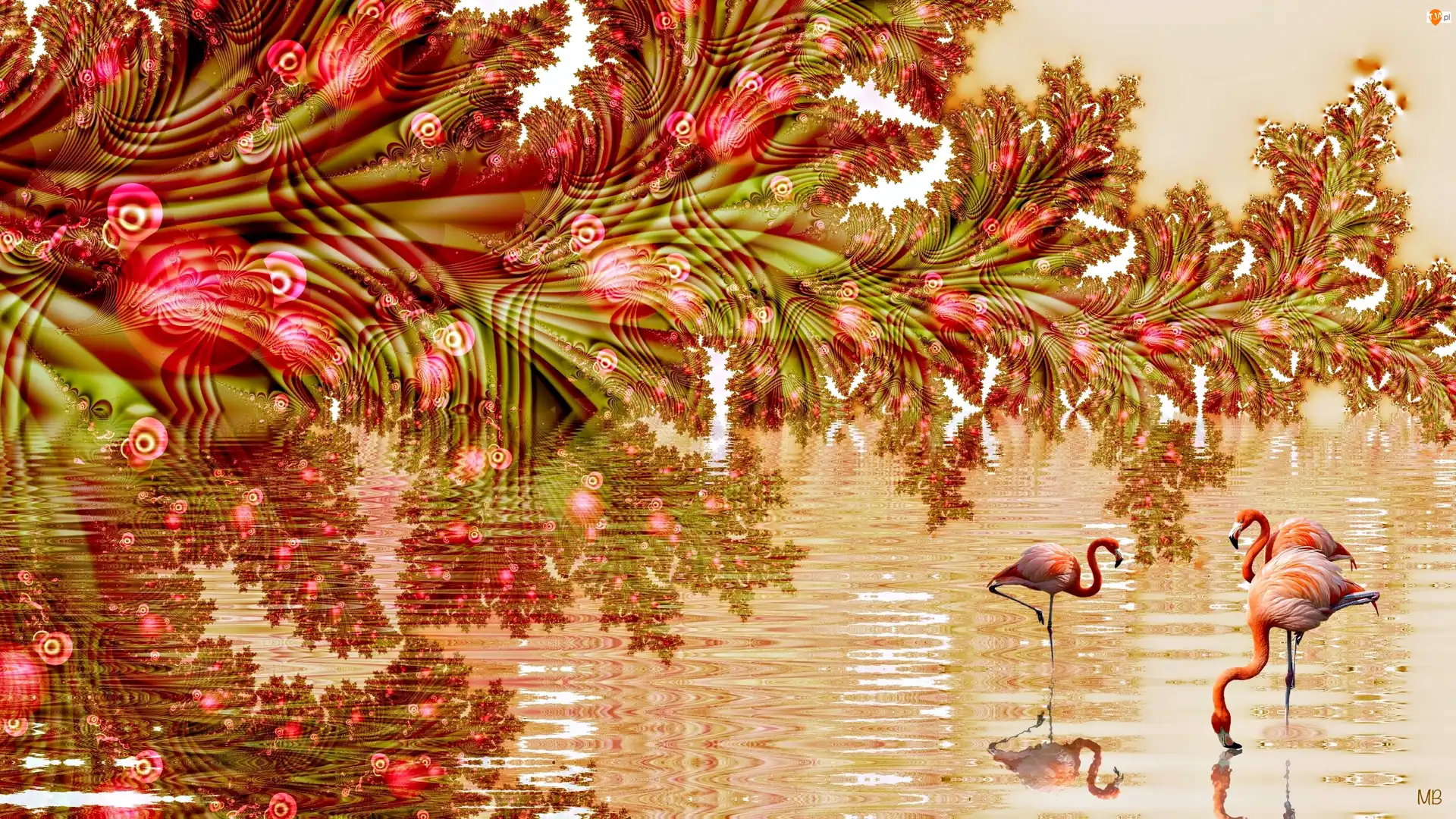 Flamingi, Grafika 2D, Woda, Kwiaty, Odbicie