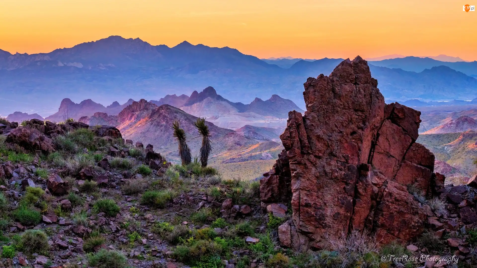 Arizona, Stany Zjednoczone, Góry, Roślinność, Oatman, Skały