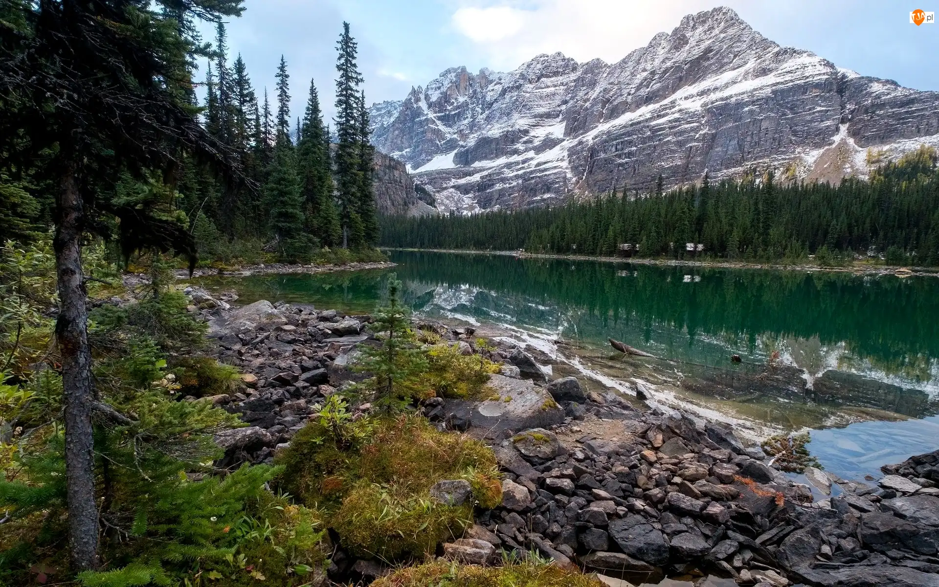 Kolumbia Brytyjska, Park Narodowy Yoho, Świerki, Kanada, Kamienie, Jezioro O’Hara, Góry Canadian Rockies