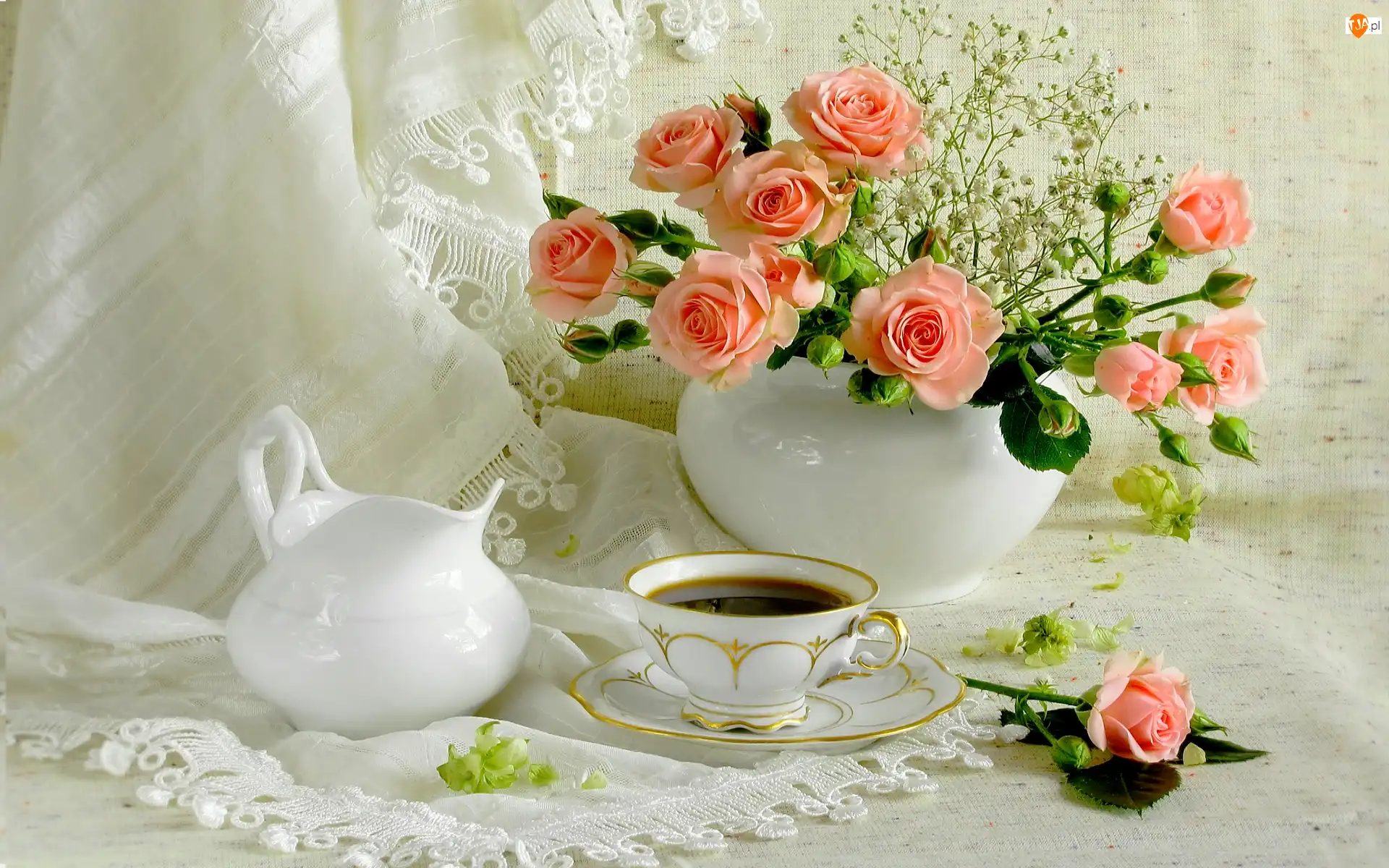 Porcelana, Różowe, Róże, Biała