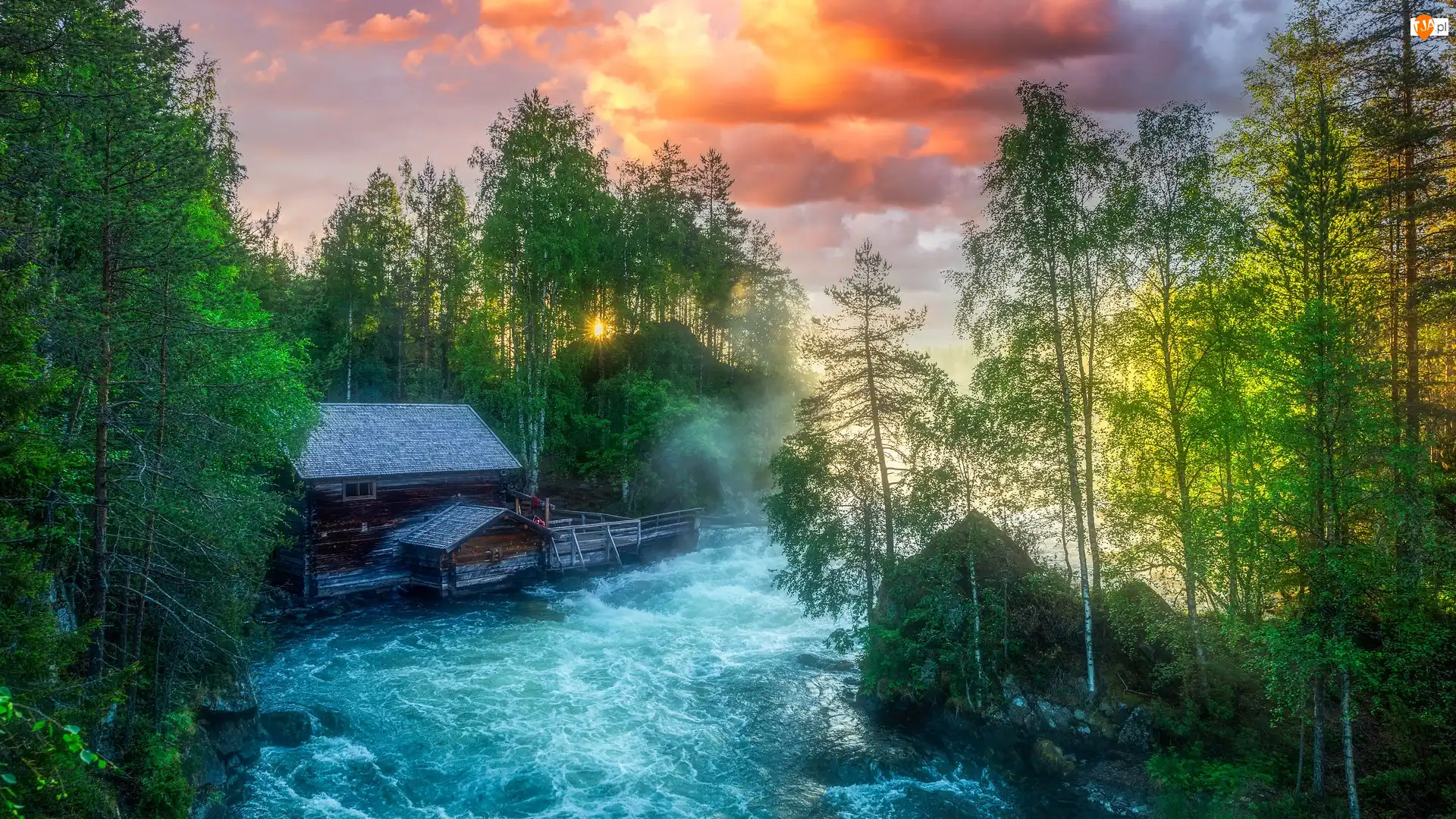 Finlandia, Zielone, Laponia, Park Narodowy Oulanka, Gmina Kuusamo, Drzewa, Rzeka, Las, Młyn Myllykoski