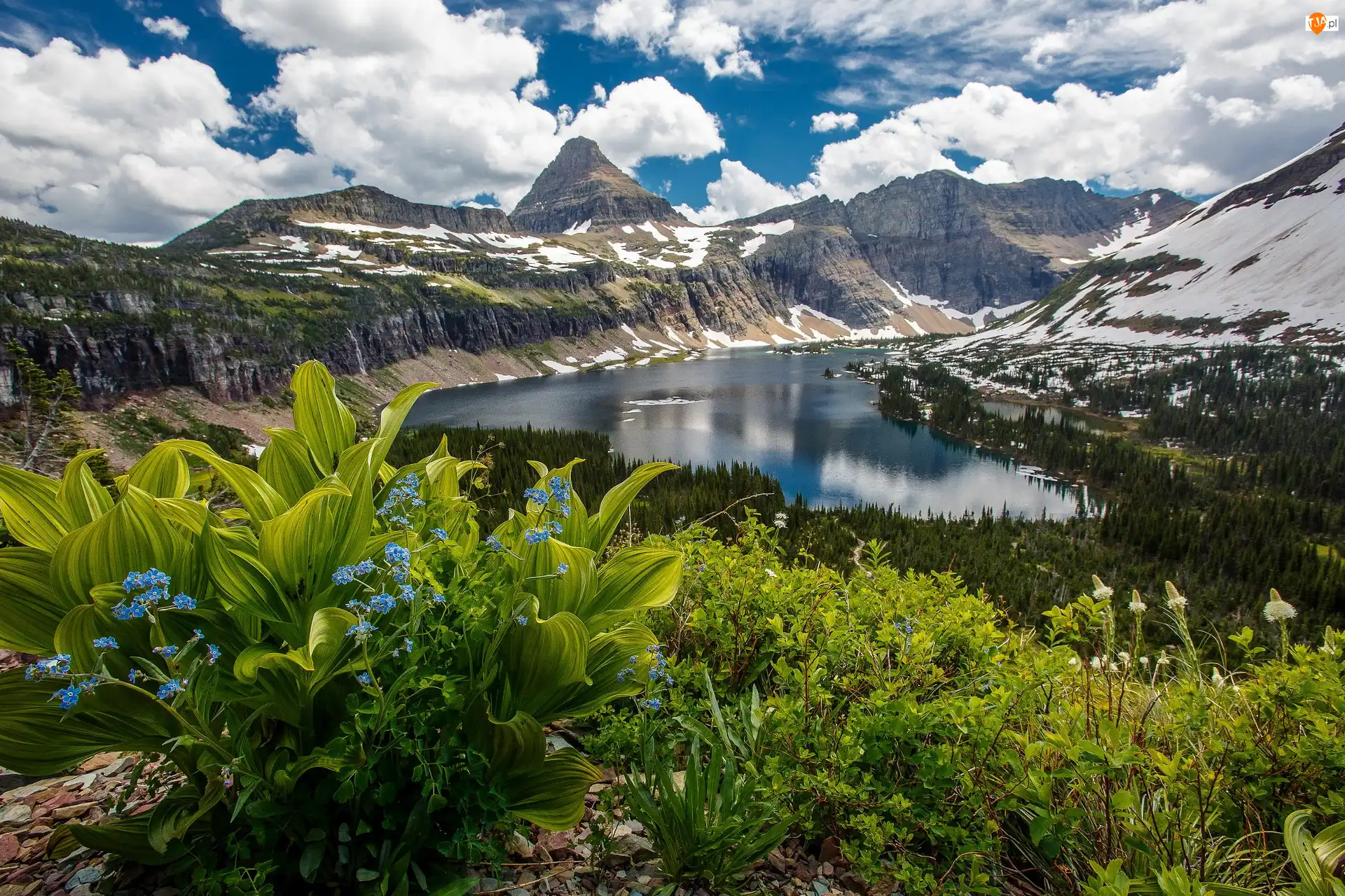 Jezioro Hidden Lake, Drzewa, Stany Zjednoczone, Góry, Stan Montana, Park Narodowy Glacier, Chmury