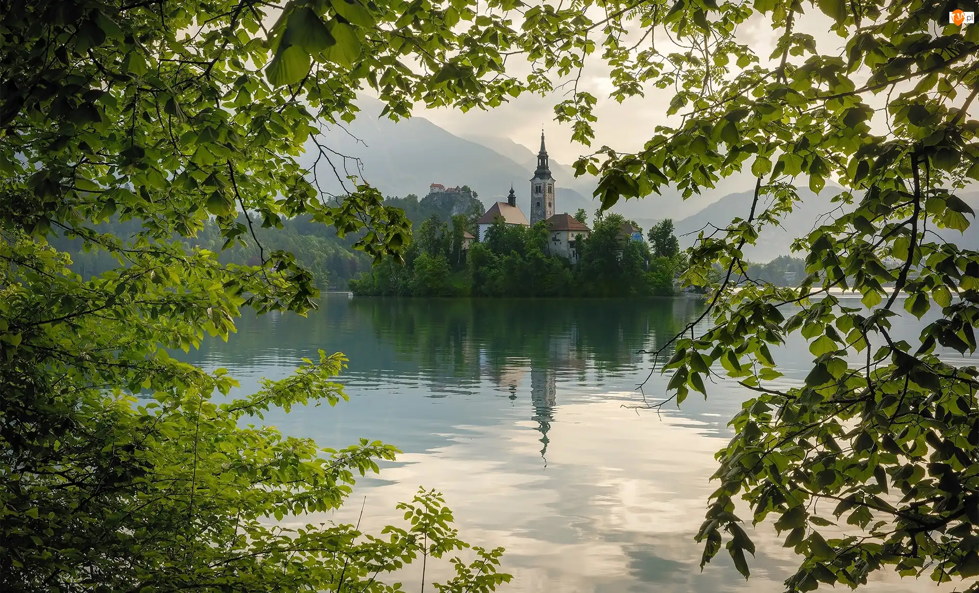 Jezioro Bled, Słowenia, Kościół Zwiastowania Marii Panny, Gałęzie, Wyspa Blejski Otok, Zieleń