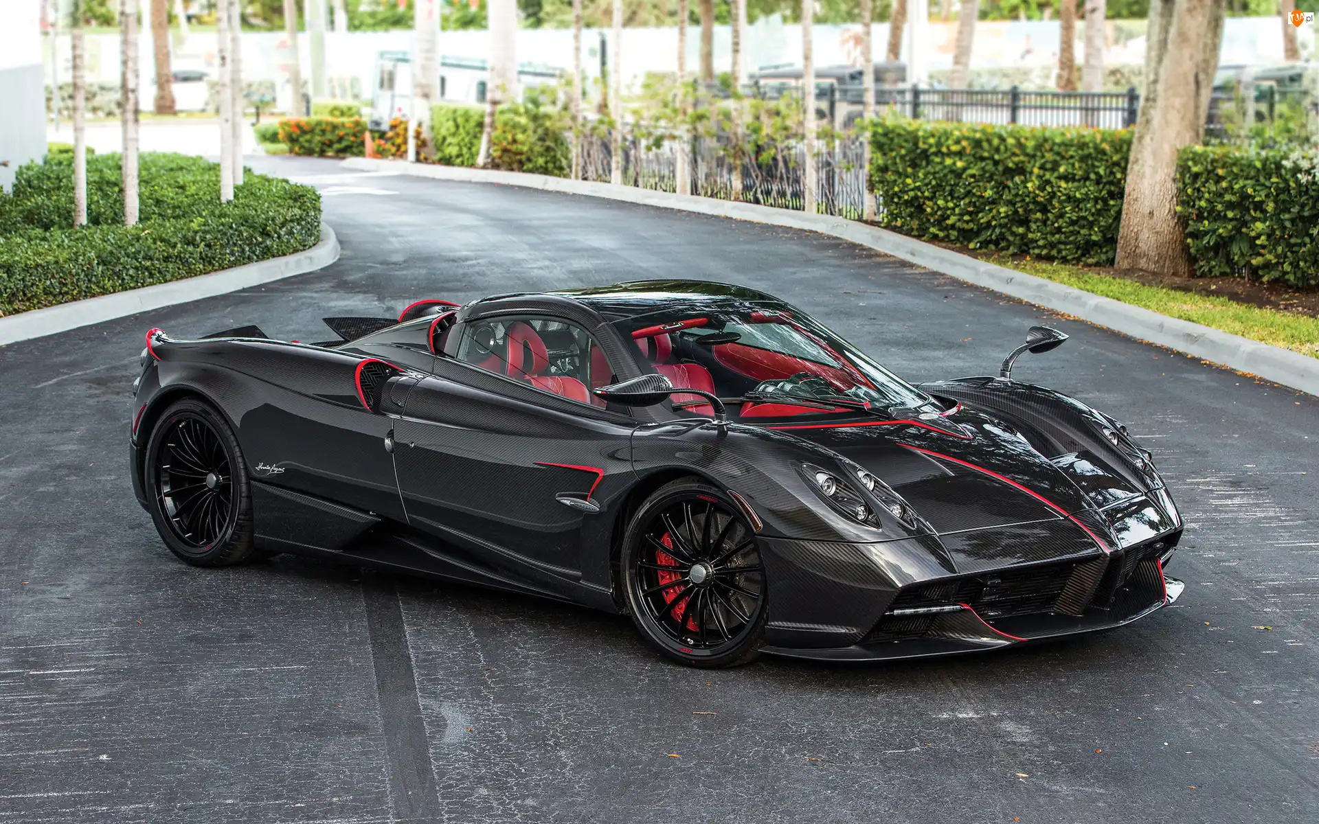 Pagani Huayra, Czarne