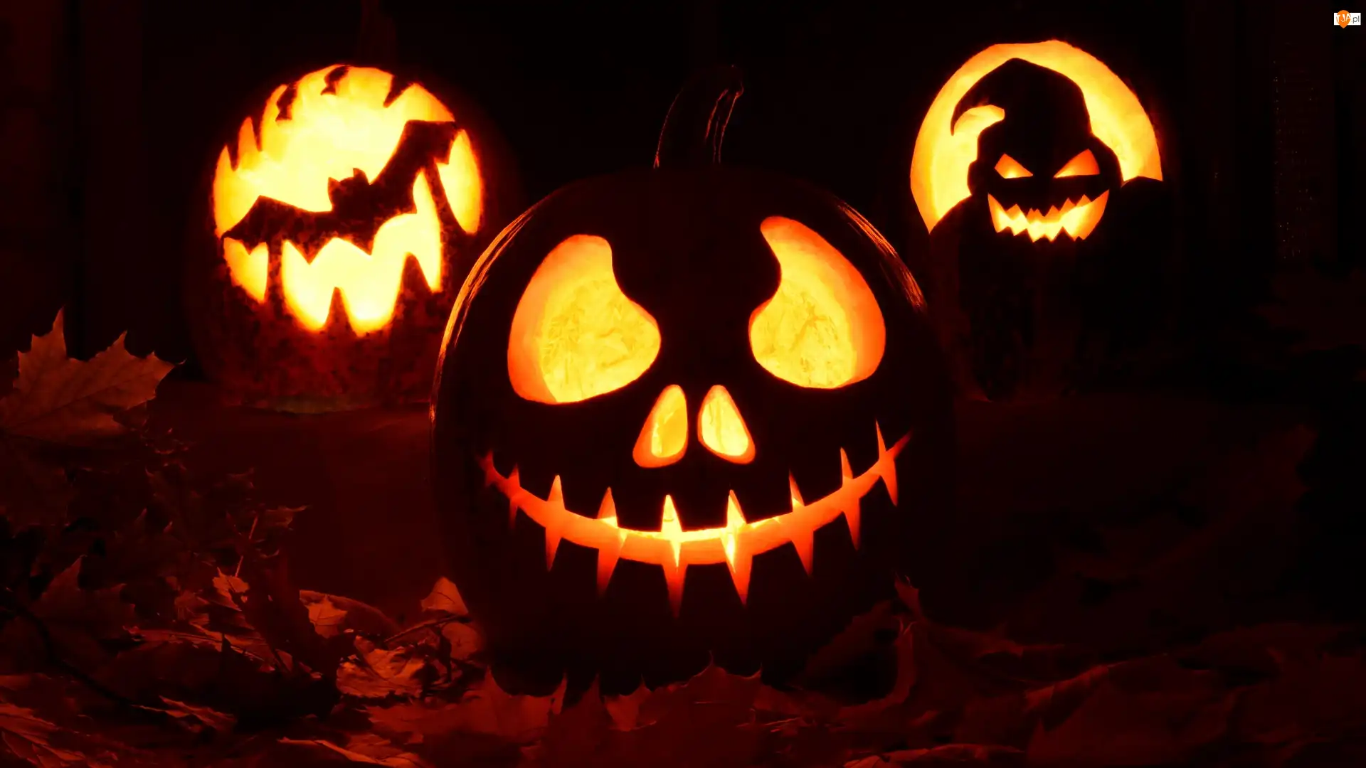Lampy, Liście, Dynia, Halloween, Jack OLantern