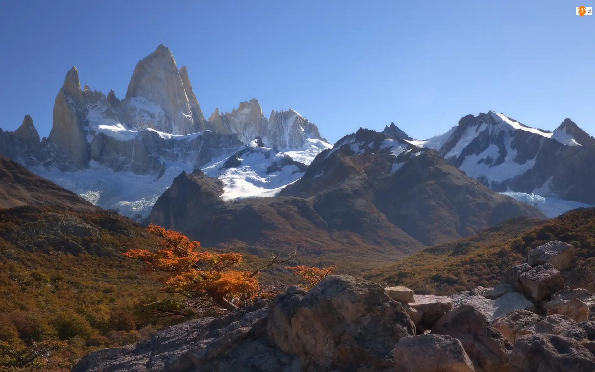 Drzewo, Jesień, Skały, Patagonia, Góry, Kamienie, Argentyna, Andy