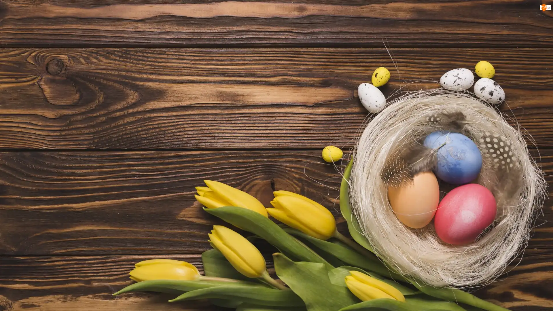 Tulipany, Wielkanoc, Żółte, Pisanki, Deski