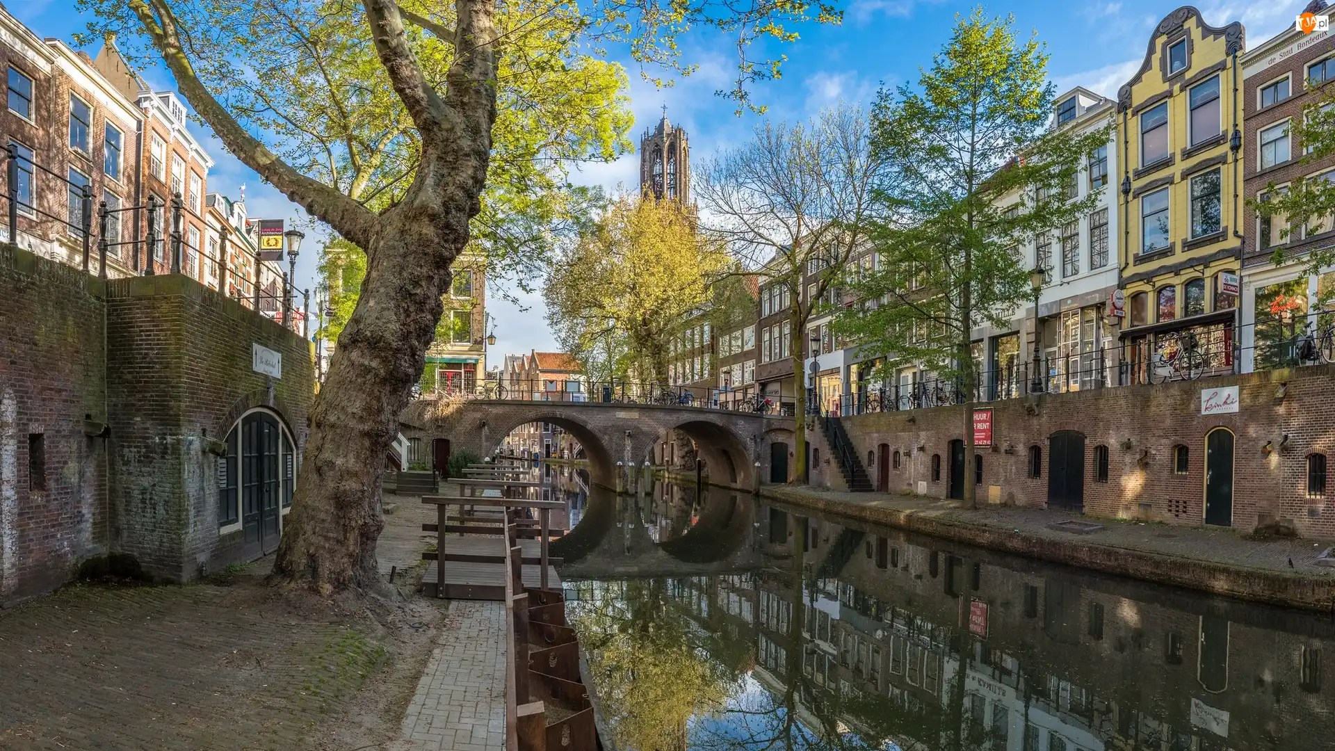 Domy, Kamienice, Kanał, Holandia, Drzewo, Amsterdam