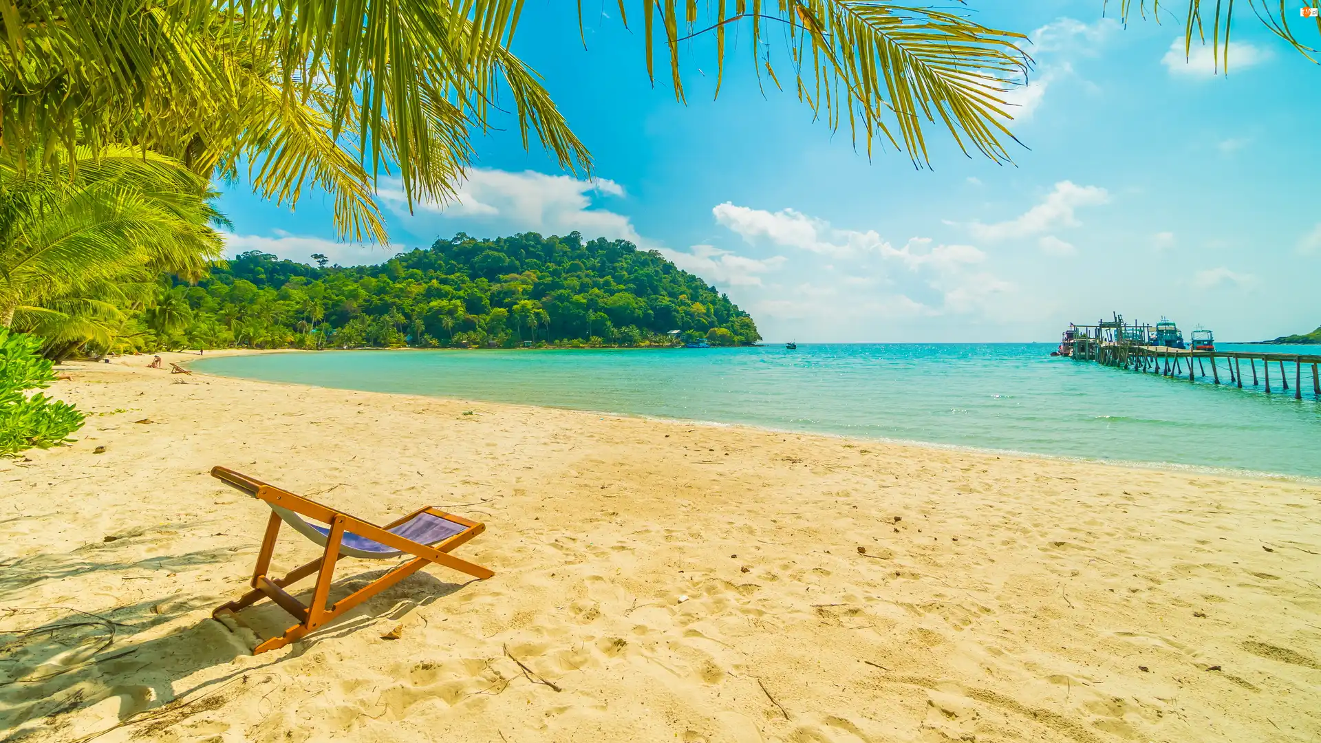 Leżak, Plaża, Morze, Pomost, Drzewa, Molo