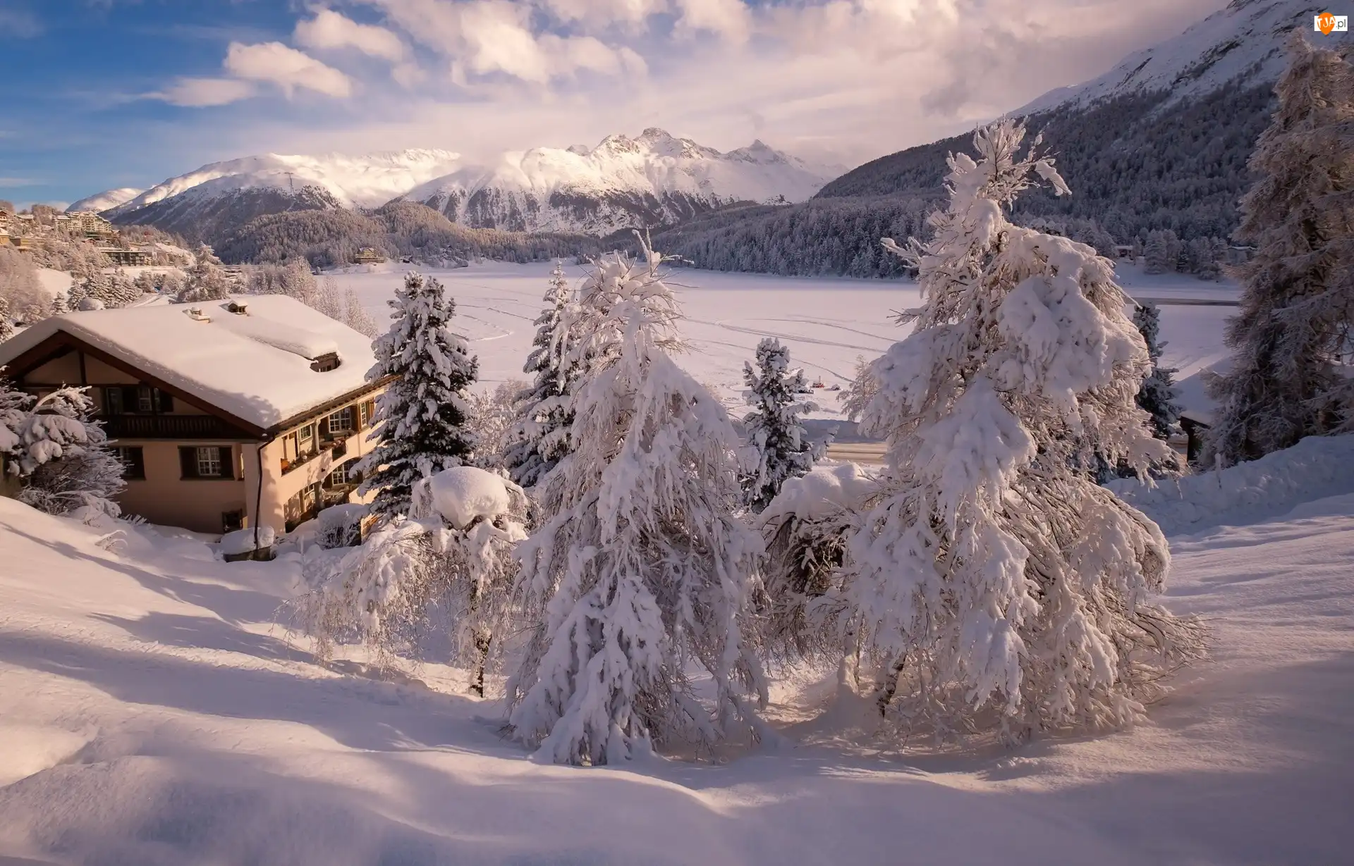 Szwajcaria, Jezioro Sankt Moritz, Sankt Moritz, Zaśnieżone, Ośnieżone, Zima, Świerki, Góry, Dom, Dolina Engadyna