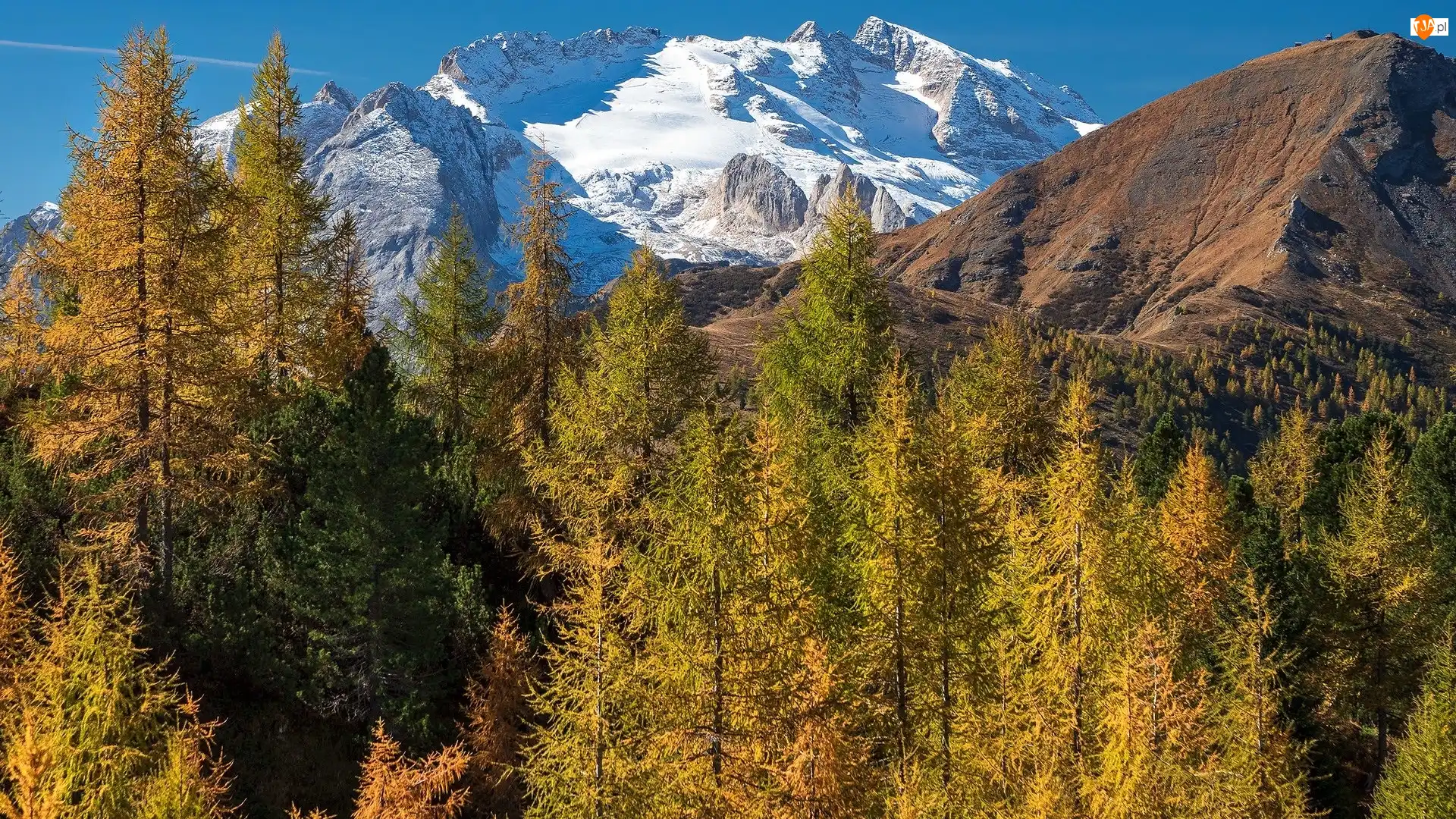 Góry Marmolada, Lodowiec, Włochy, Jesień, Drzewa, Żółte, Marmolada Glacier