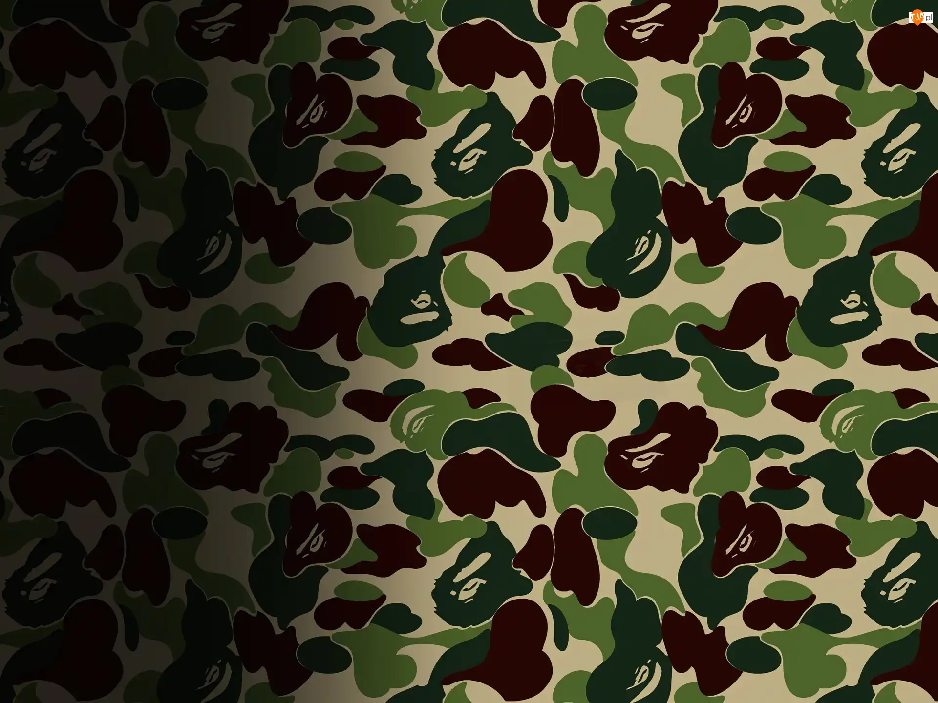 małpa, Bathing Ape, moro