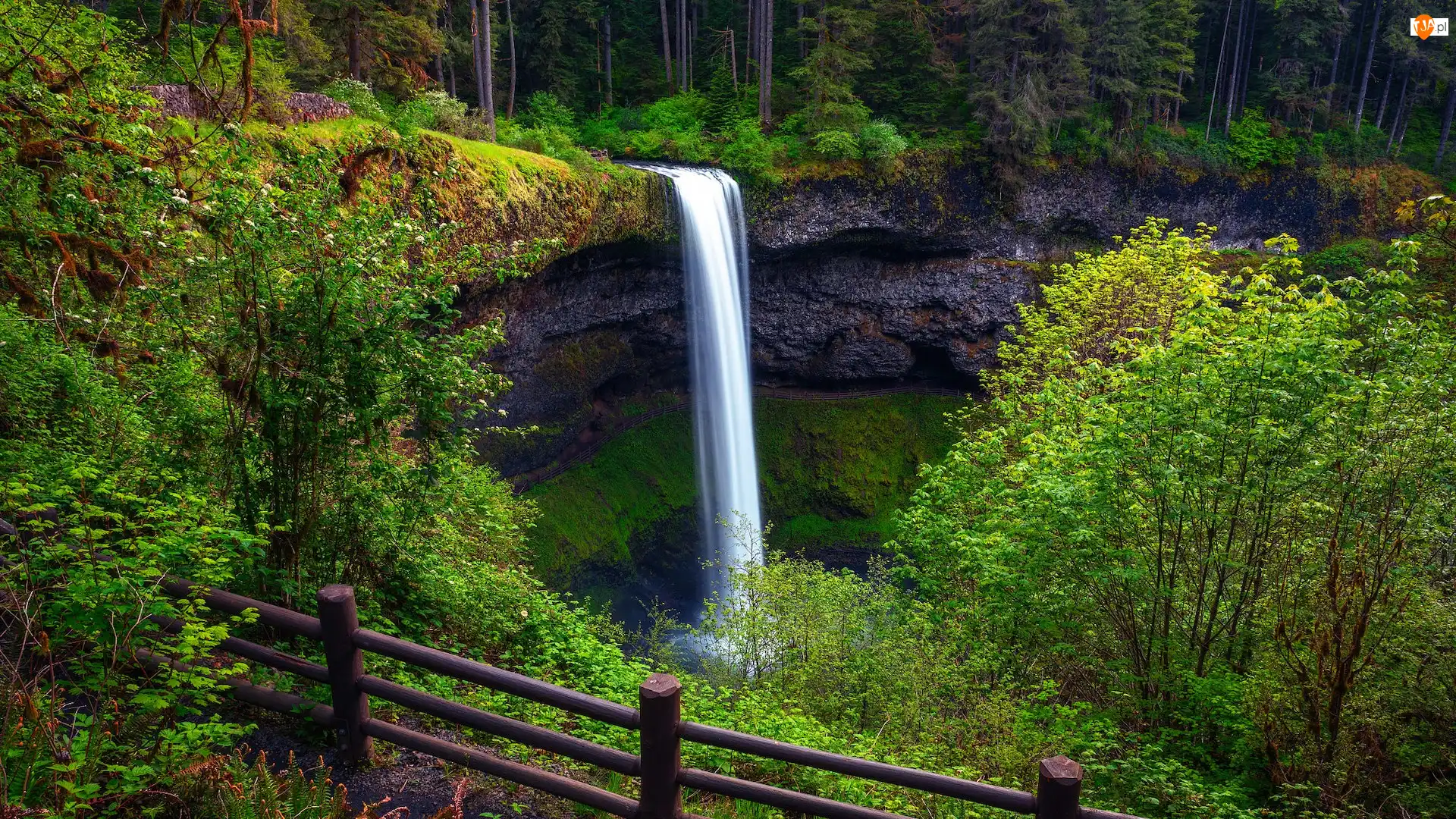 Park stanowy Silver Falls, Wodospad, Drzewa, Stan Oregon, South Falls, Ogrodzenie, Stany Zjednoczone, Skały