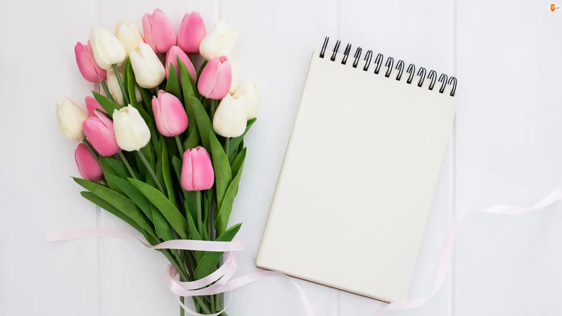 Białe, Różowe, Bukiet, Notes, Tulipany, Wstążka