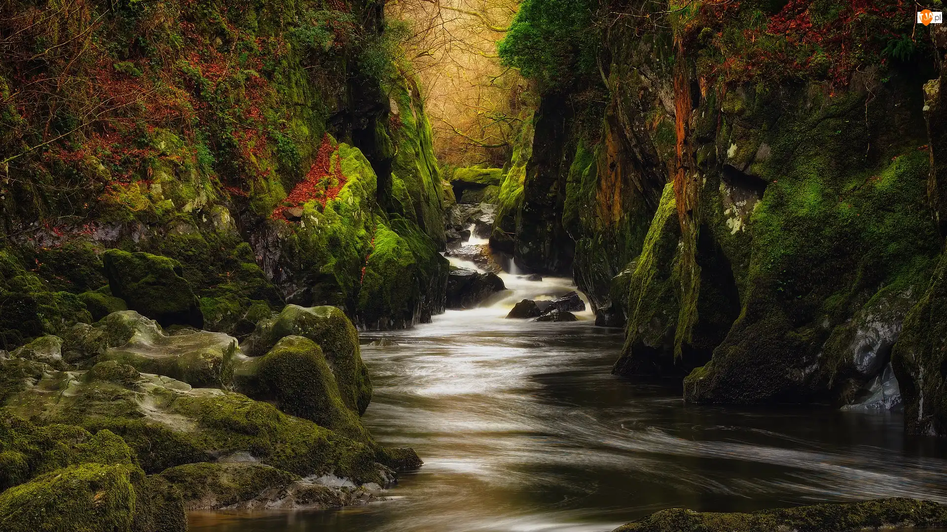 Rzeka Conwy, Park Narodowy Snowdonia, Walia, Wąwóz Fairy Glen, Drzewa, Skały, Kamienie