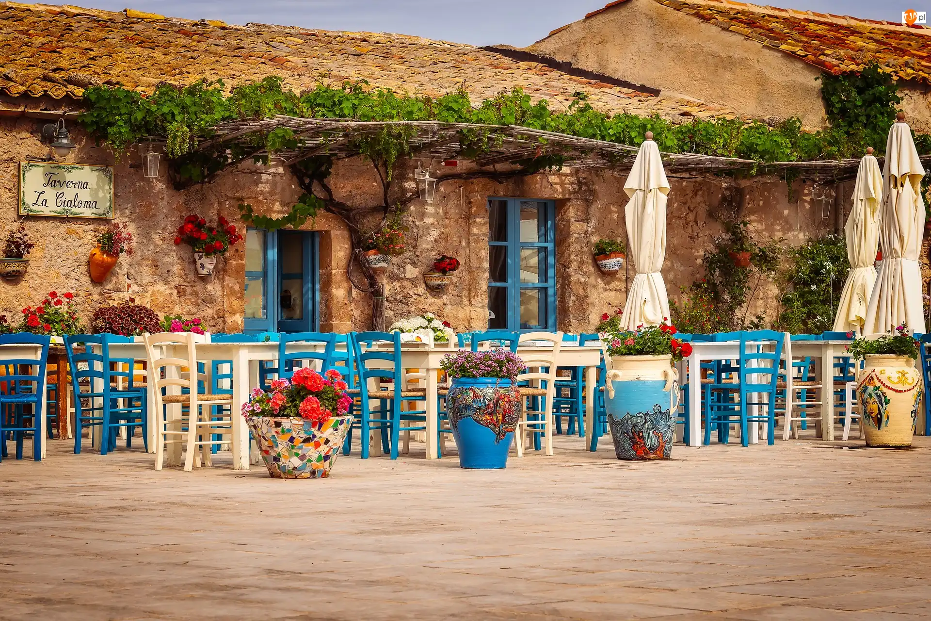 Restauracja, Sycylia, Stoliki, Parasole, Taverna La Cialoma, Kwiaty