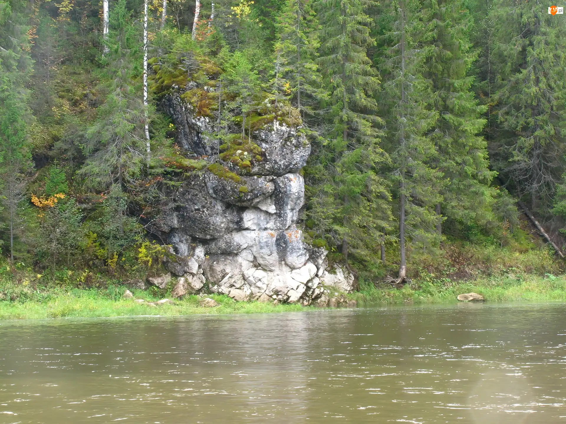 Las, Rzeka, Skały