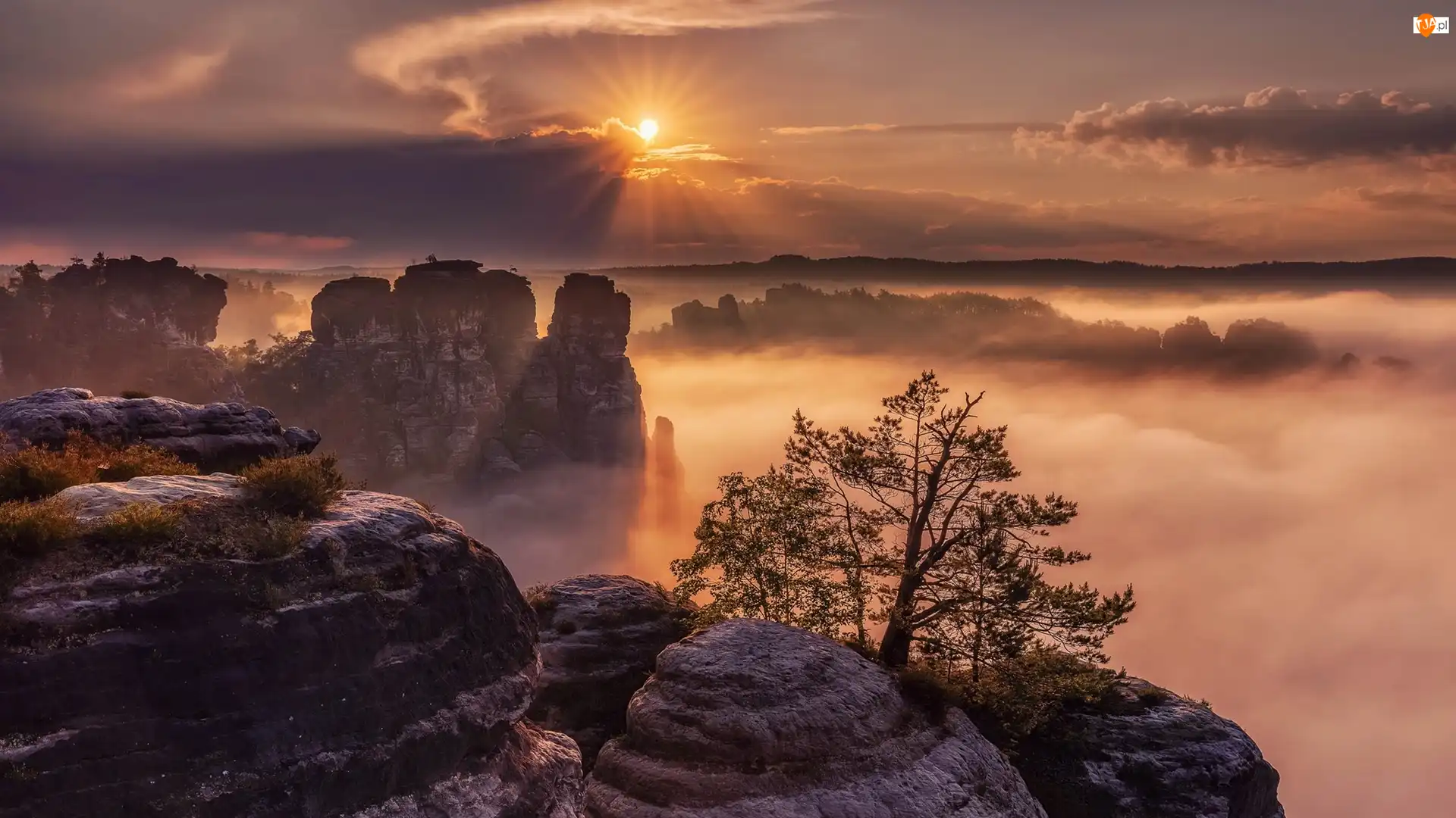 Chmury, Skały Bastei, Promienie słońca, Drzewo, Wschód słońca, Góry Połabskie, Niemcy, Park Narodowy Saskiej Szwajcarii, Mgła