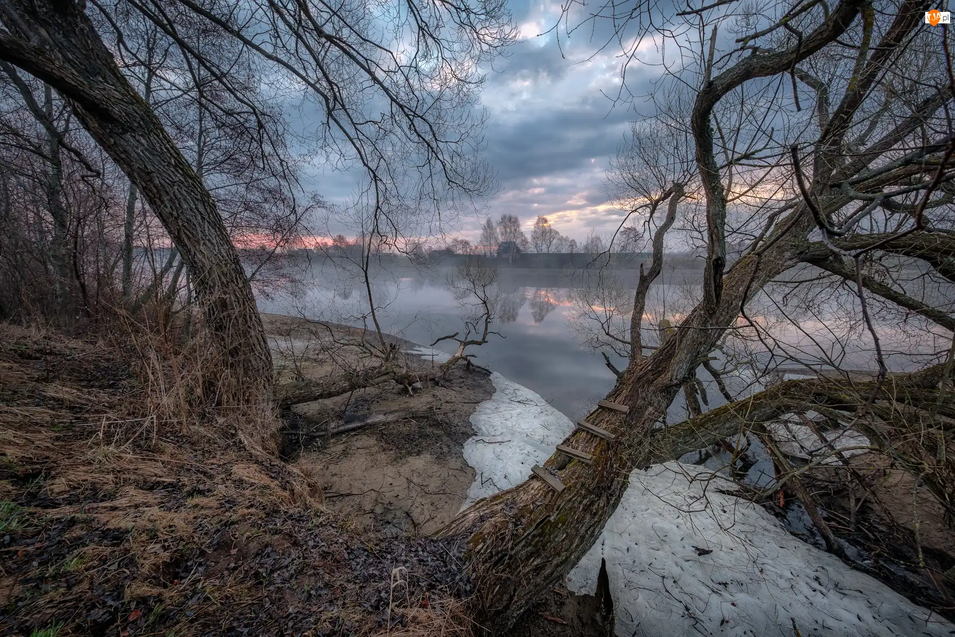 Domy, Mgła, Łotwa, Rzeka Dubna, Łatgalia, Drzewa, Bezlistne