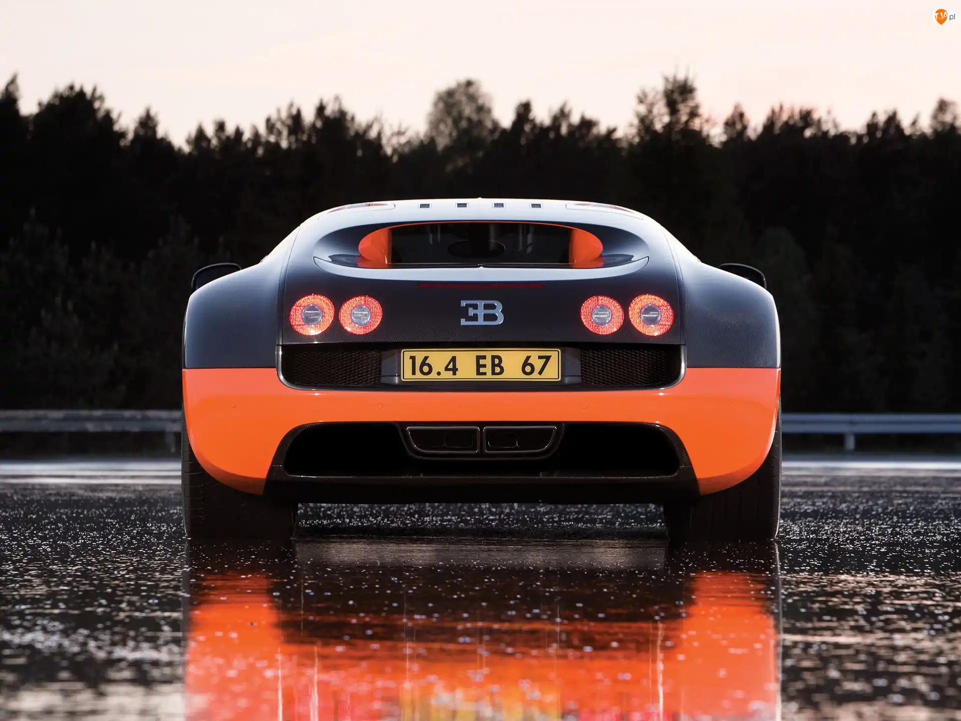 Bugatti Veyron 16.4 Super Sport, Tył