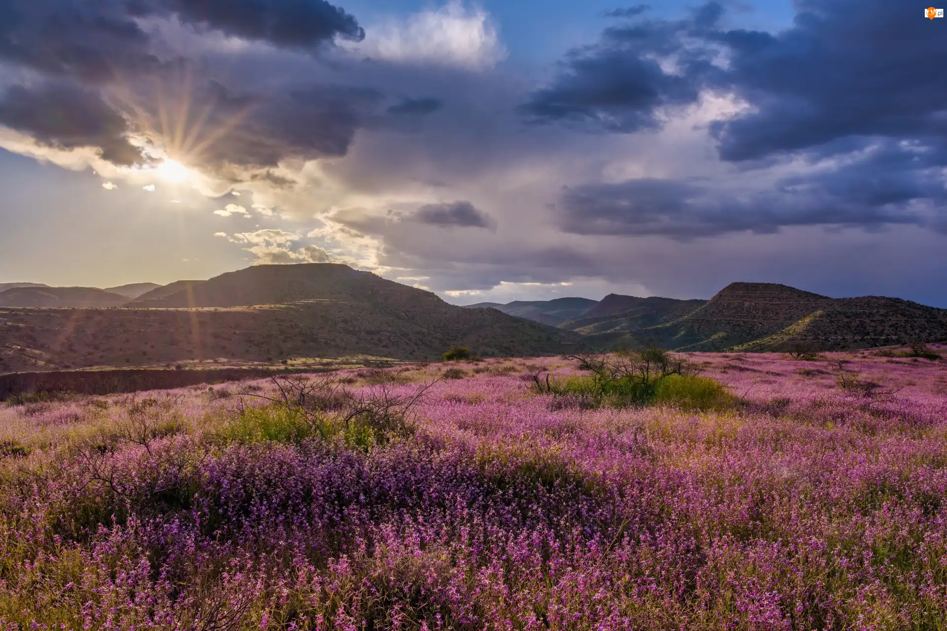 Clarkdale, Łąka, Słońce, Arizona, Góry, Wzgórza, Stany Zjednoczone, Chmury
