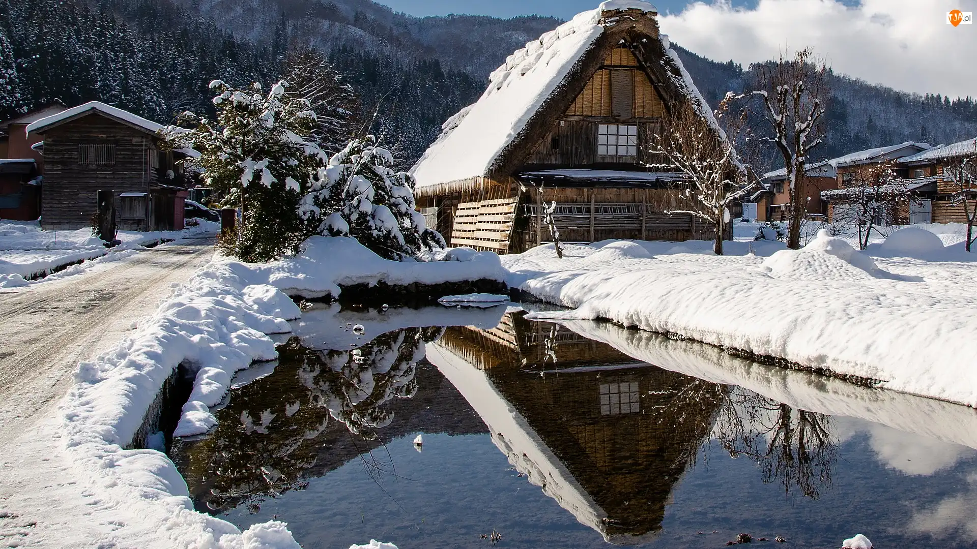 Staw, Droga, Wieś Shirakawa, Drzewa, Drewniane, Prefektura Gifu, Śnieg, Zima, Góry, Domy, Japonia