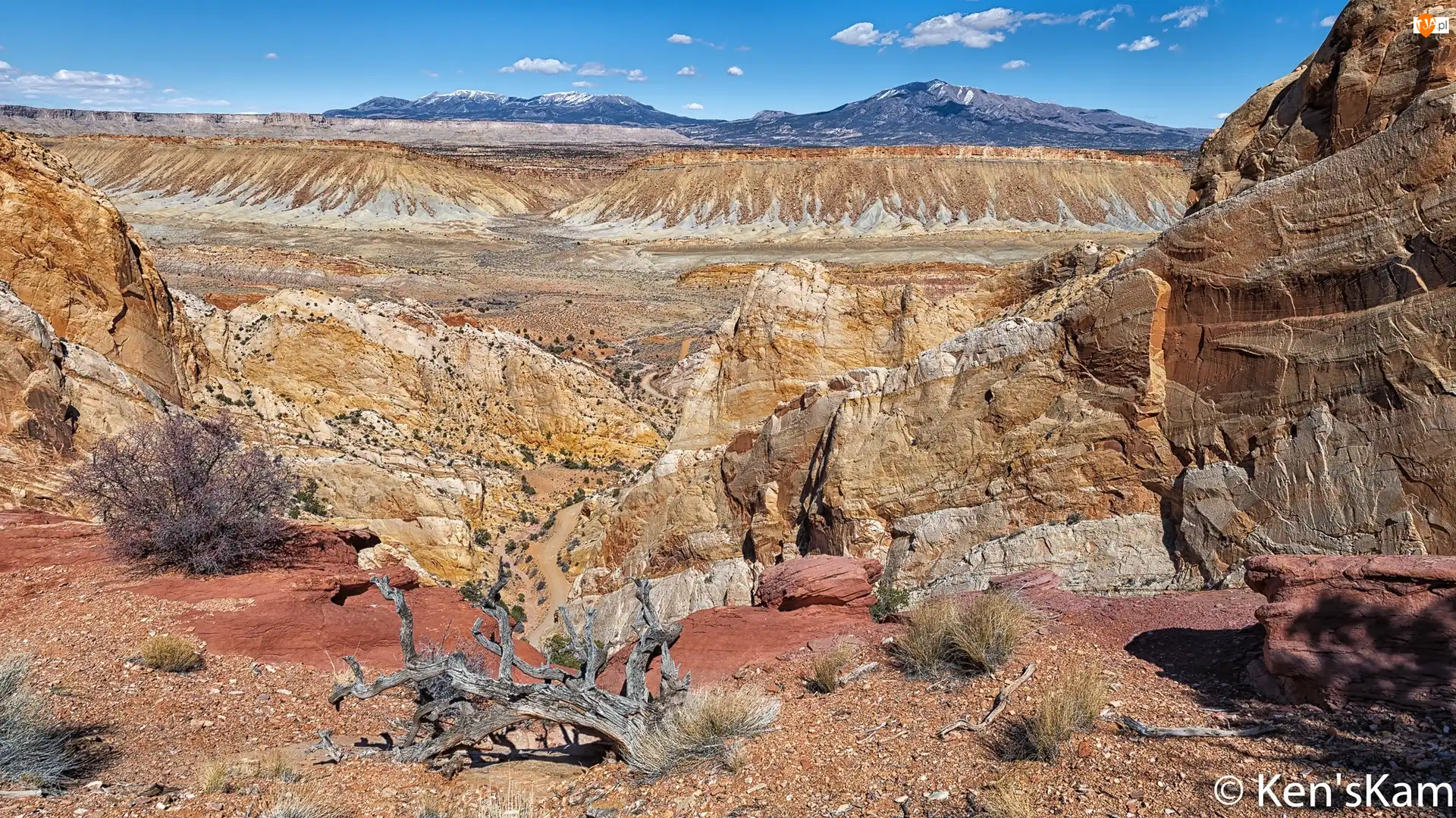 Dolina, Skały, Park Narodowy Capitol Reef, Stany Zjednoczone, Strike Valley, Utah