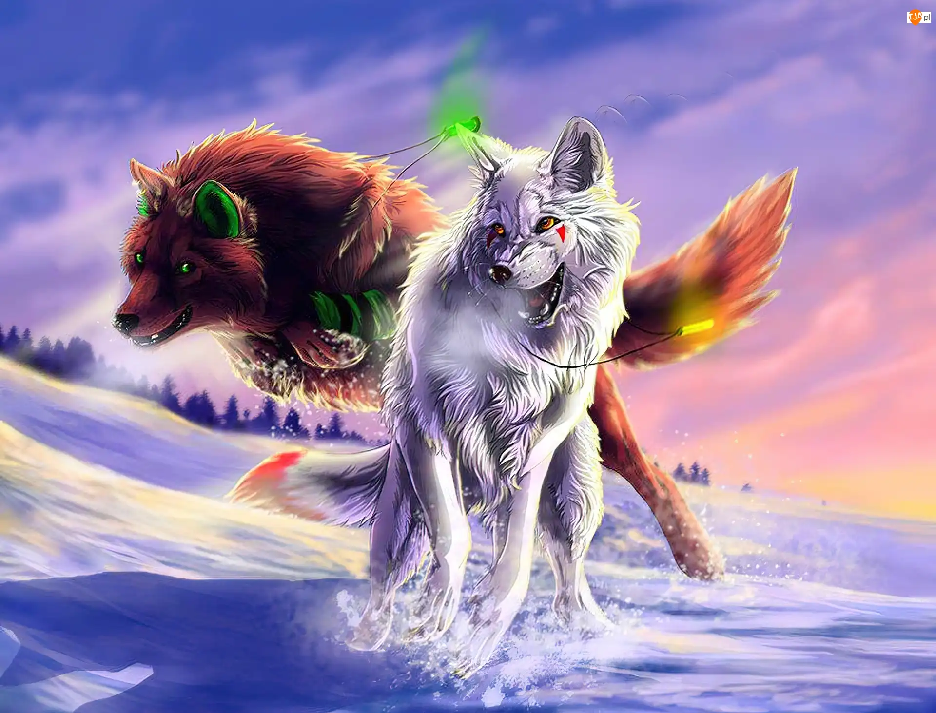 Zachód, Fantasy, Las, Wilki, Słońca