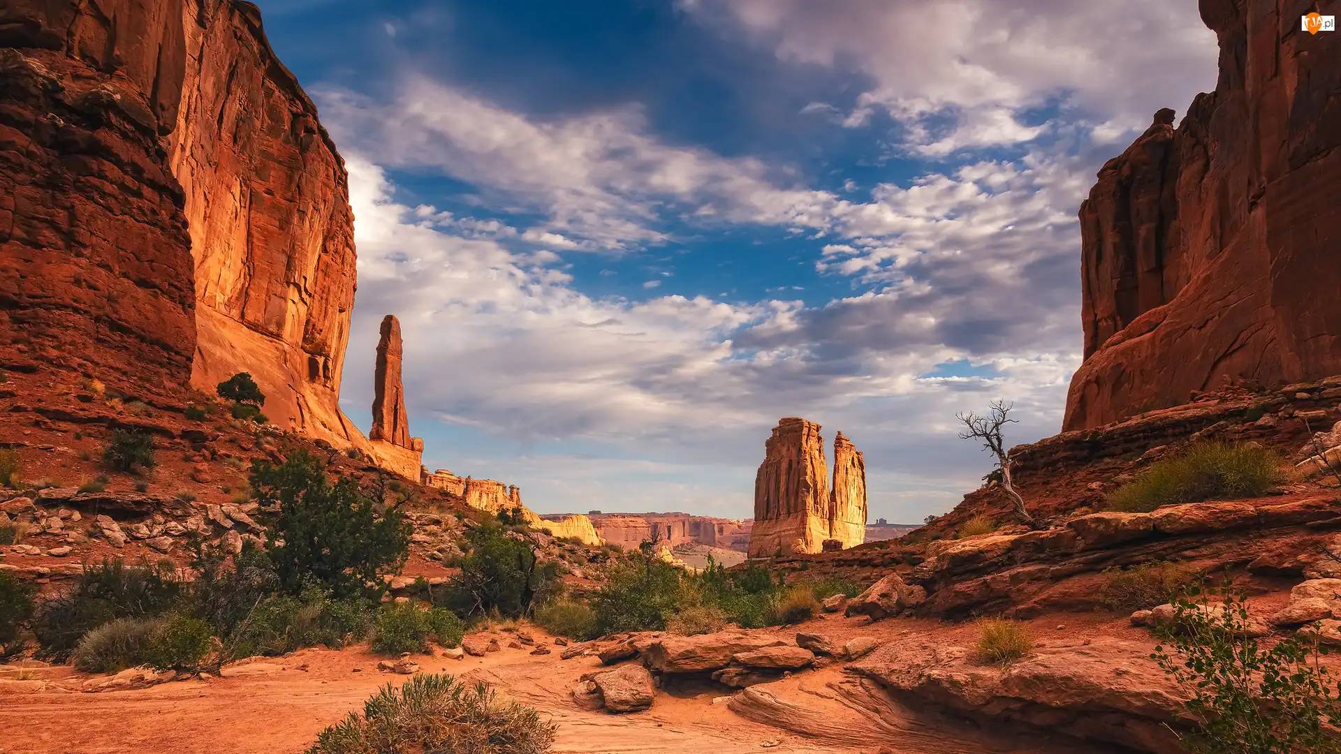 Skały, Formacja Courthouse Towers, Stany Zjednoczone, Góry, Utah, Park Narodowy Arches, Krzewy