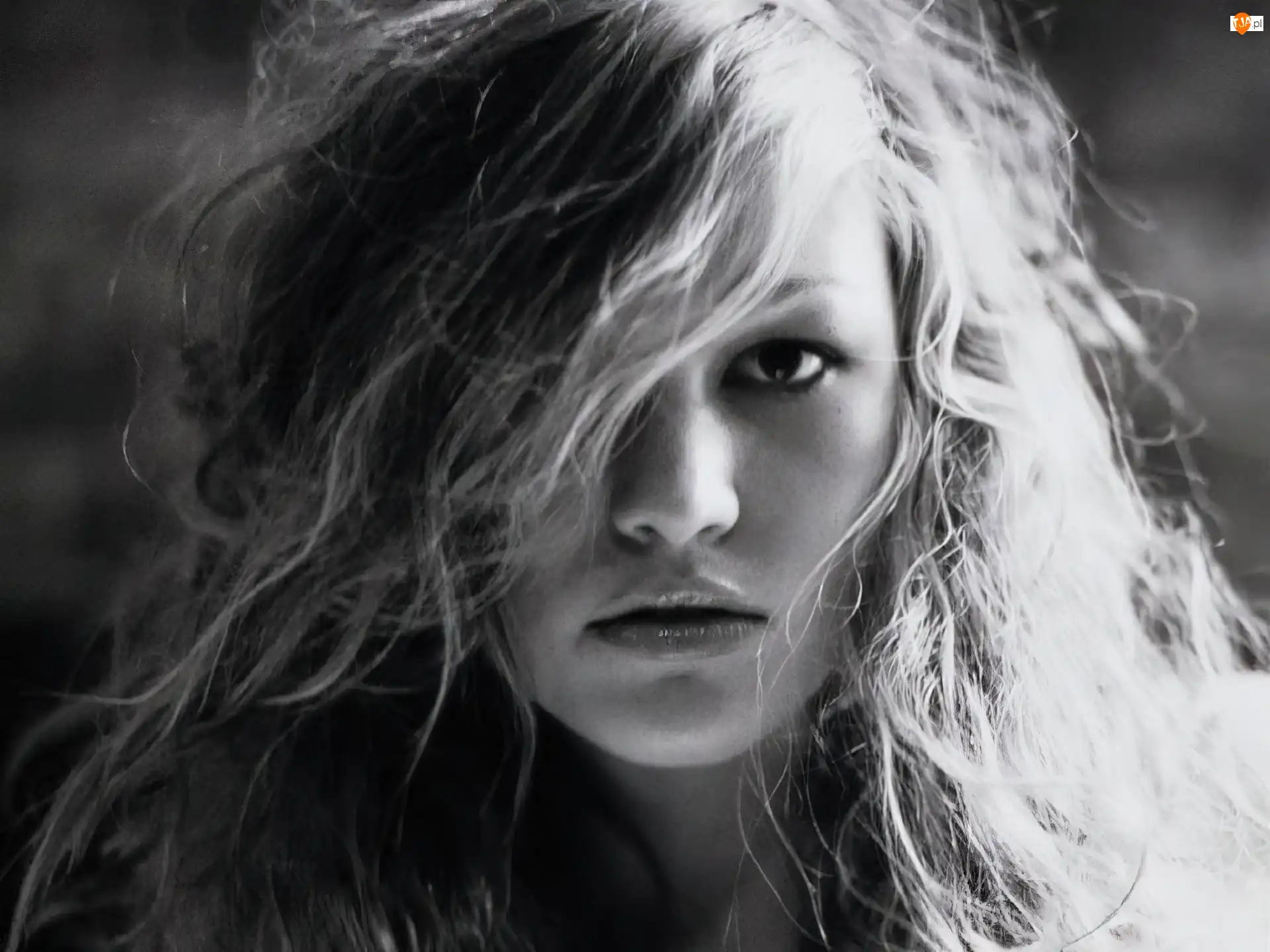 Julia Stiles, rozczochrane, włosy