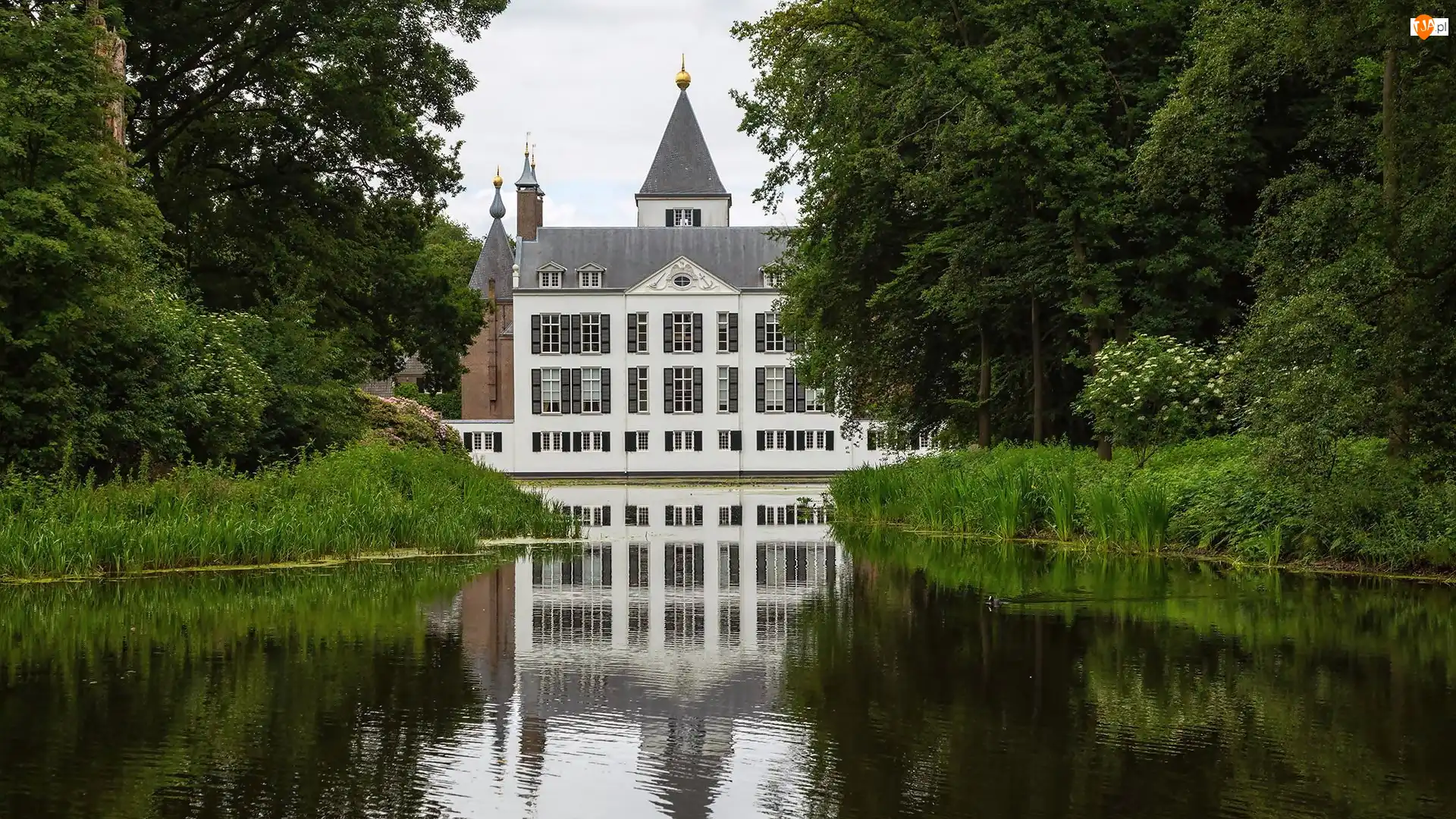 Zamek, Holandia, Staw, Krzewy, Castle Renswoude, Drzewa