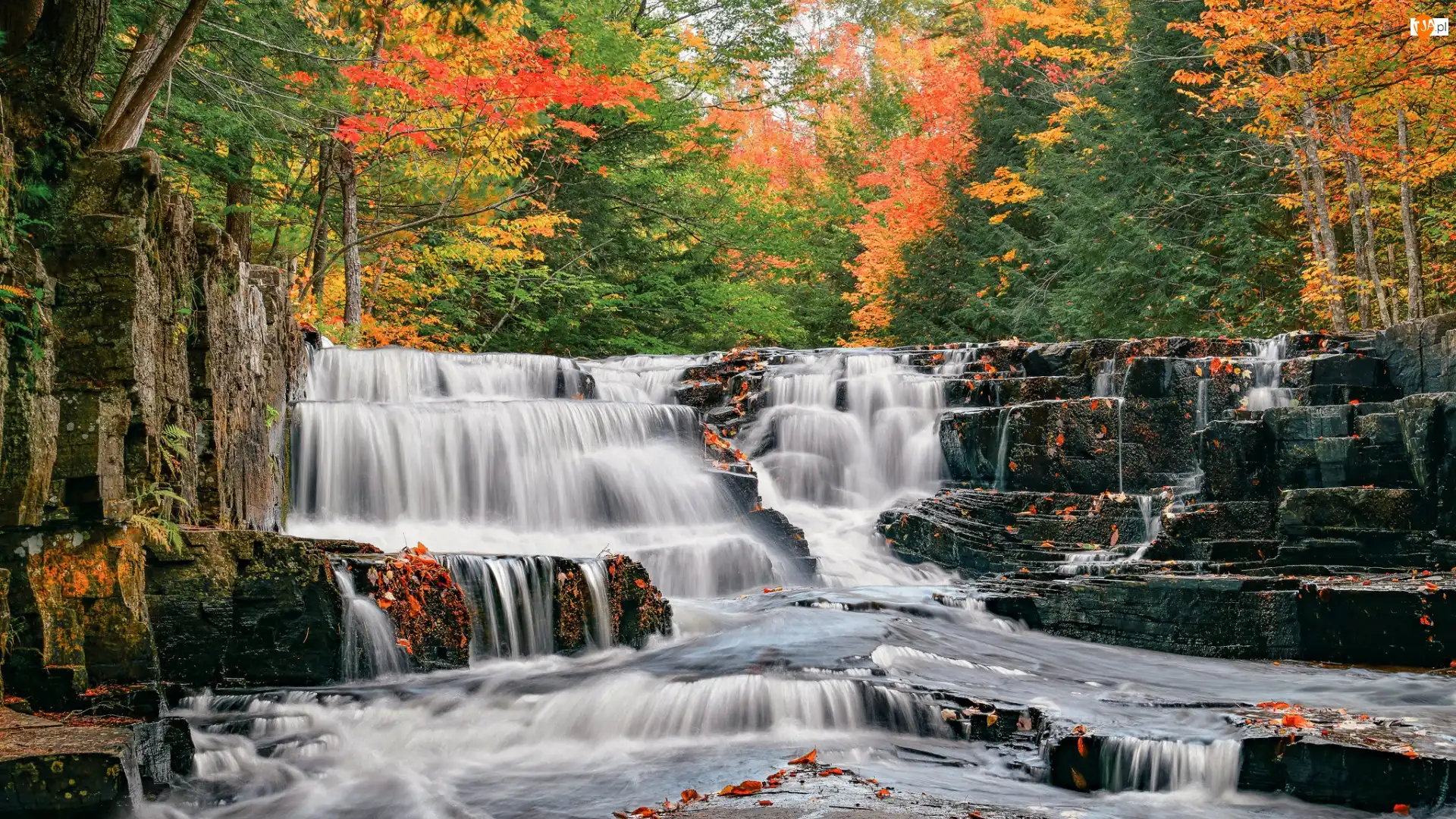 Drzewa, Slate River, Hrabstwo Baraga, Kamienie, Quartzite Falls, Michigan, Rzeka, Wodospad, Liście, Jesień, Stany Zjednoczone