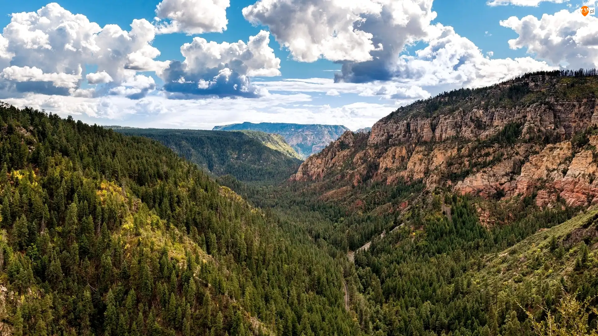 Stany Zjednoczone, Kanion Oak Creek Canyon, Stan Arizona, Skały, Lasy, Park Stanowy Slide Rock, Kanion, Wąwóz, Góry