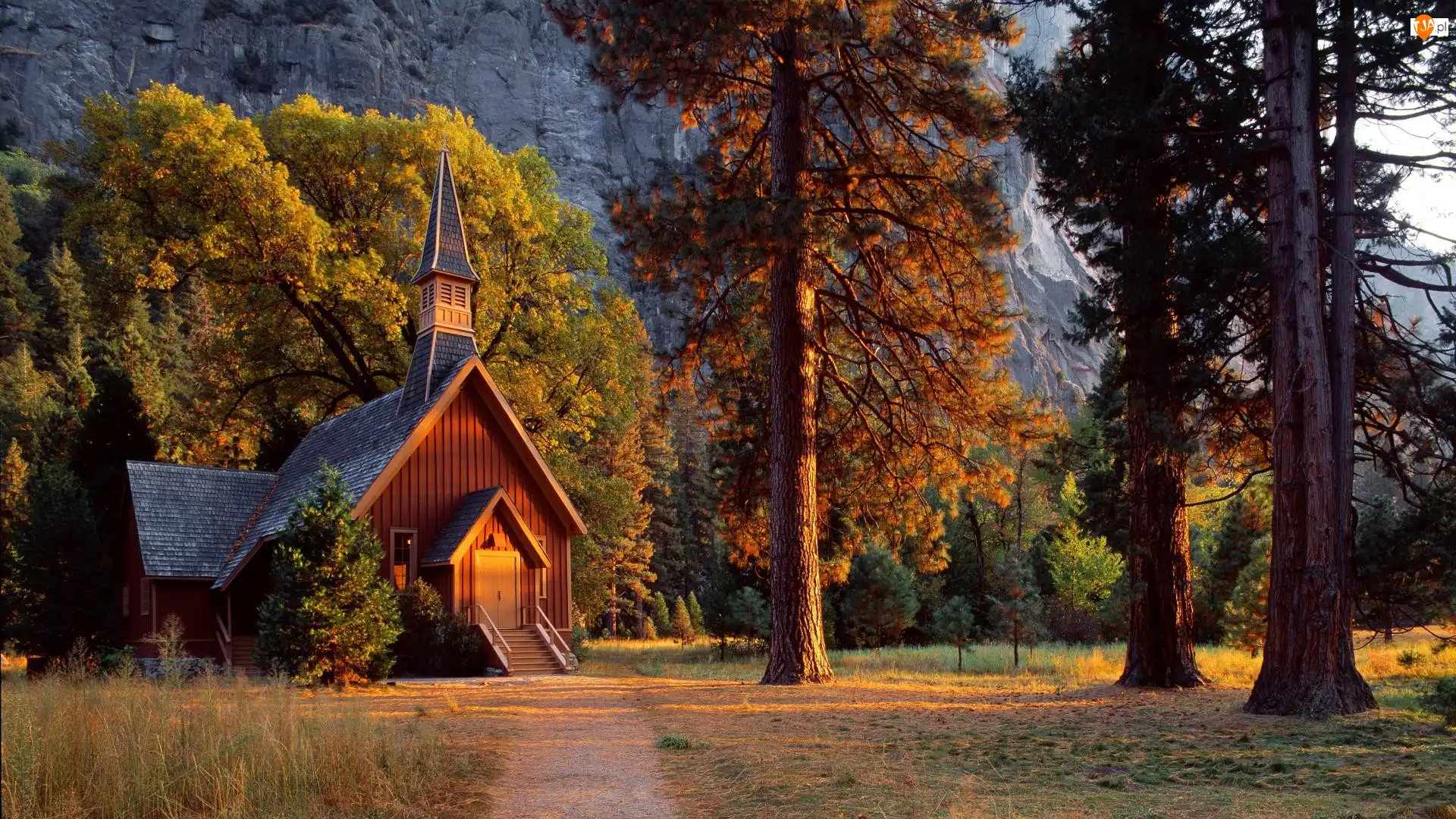 Park Narodowy Yosemite, Drzewa, Stan Kalifornia, Stany Zjednoczone, Kościółek Yosemite Valley Chapel
