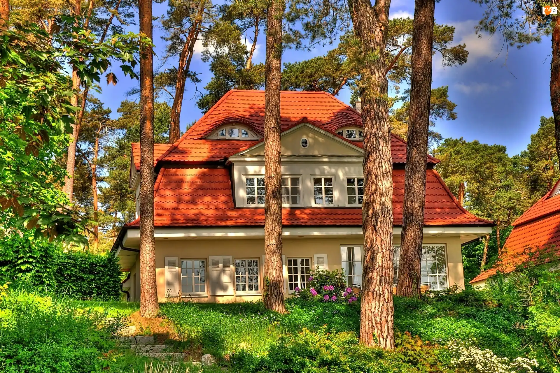 Domy, Światło, Las, Wiosna, Przebijające