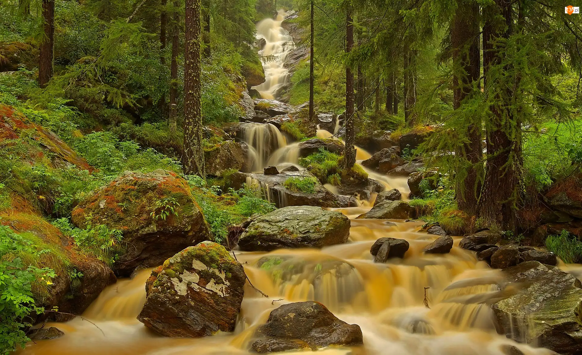 Dolina Aosty, Włochy, Kaskada, Las, Rzeka, Kamienie