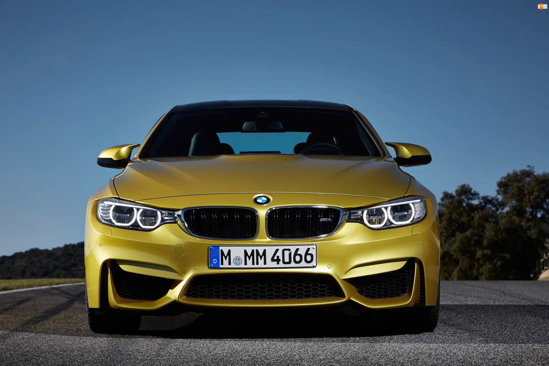 Grill, BMW M4, Ringi