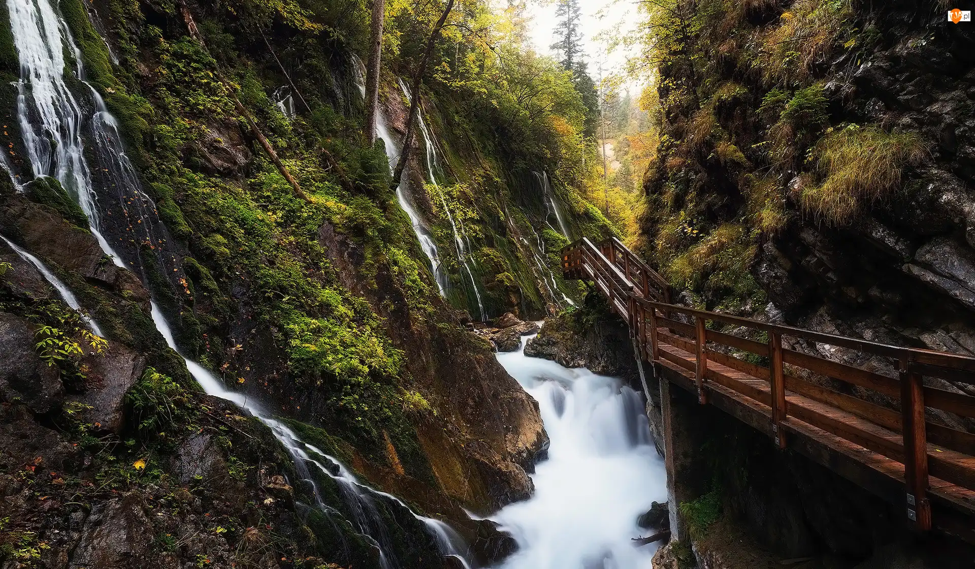 Wąwóz Wimbachklamm, Góry, Most, Niemcy, Rzeka Wimbach, Ramsau bei Berchtesgaden