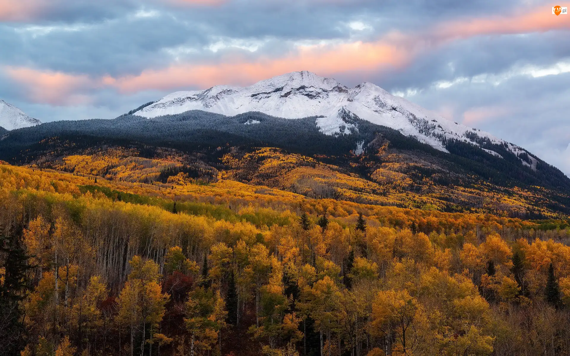 Drzewa, Stany Zjednoczone, Jesień, Roślinność, Rocky Mountains, Lasy, Chmury, Góry Skaliste