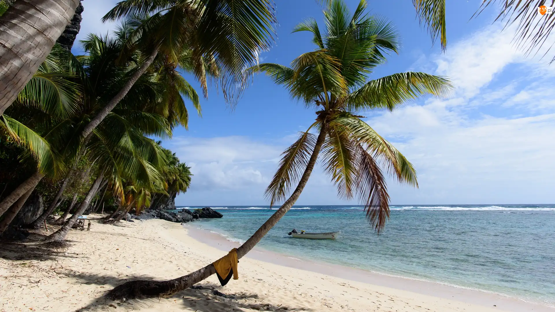 Las Galeras, Morze, Skały, Gmina Samana, Palmy, Łódka, Dominikana, Plaża Fronton
