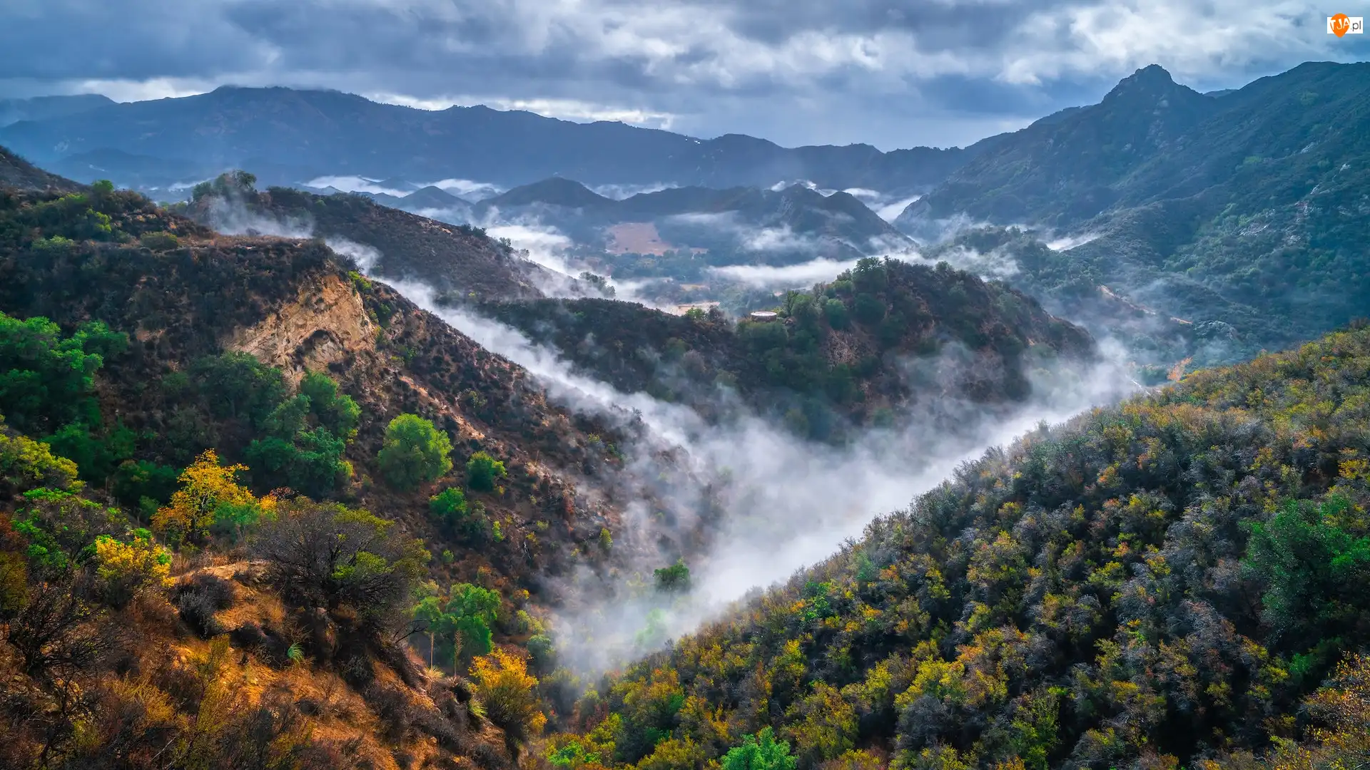 Wąwóz, Stany Zjednoczone, Trawy, Mgła, Kalifornia, Góry Santa Monica, Roślinność, Park stanowy Malibu Creek