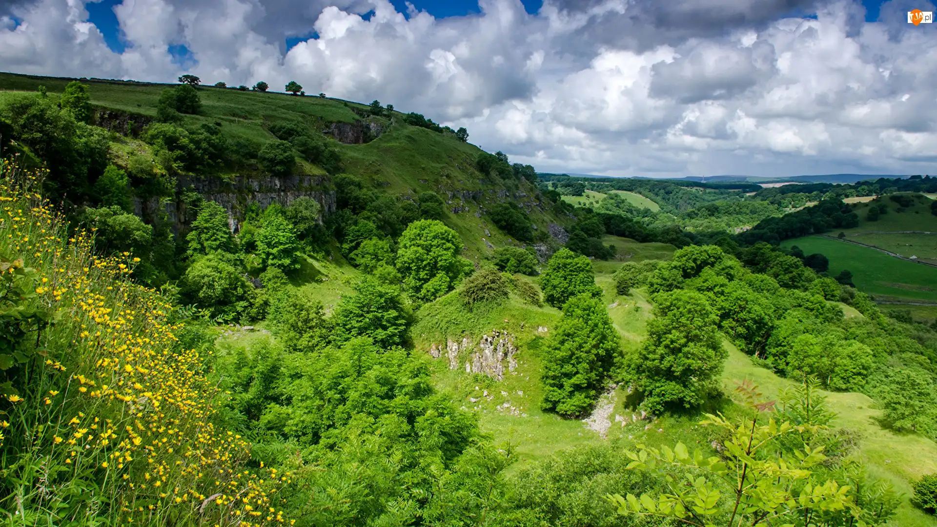 Wzgórza, Zielone, Trawa, Chmury, Drzewa, Krzewy