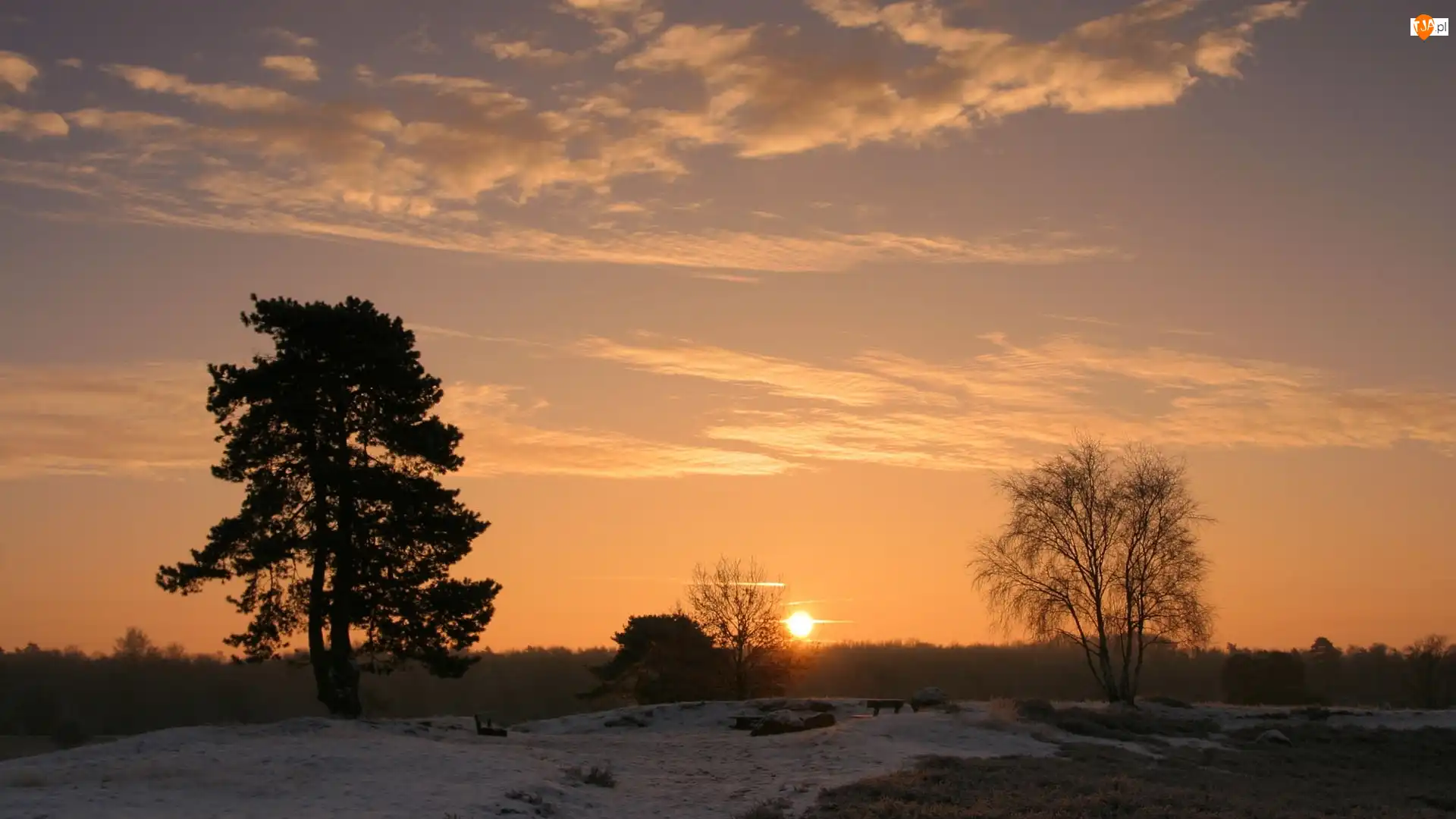Śnieg, Zachód, Słońca, Drzewa