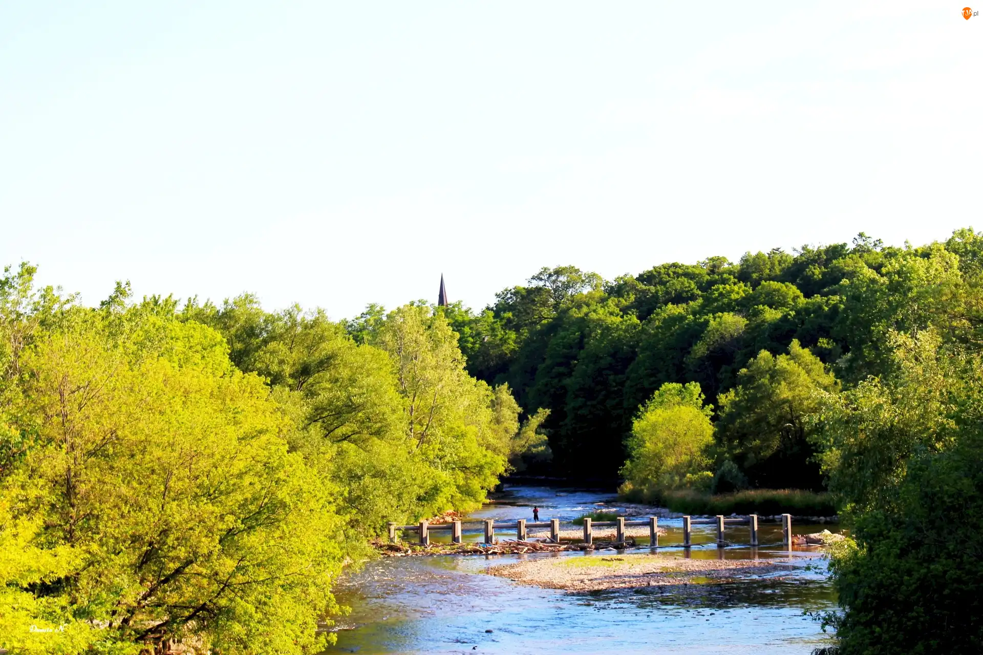 Credit River, Ontario, Widok, Rzeka, Lato, Drzewa, Kanada